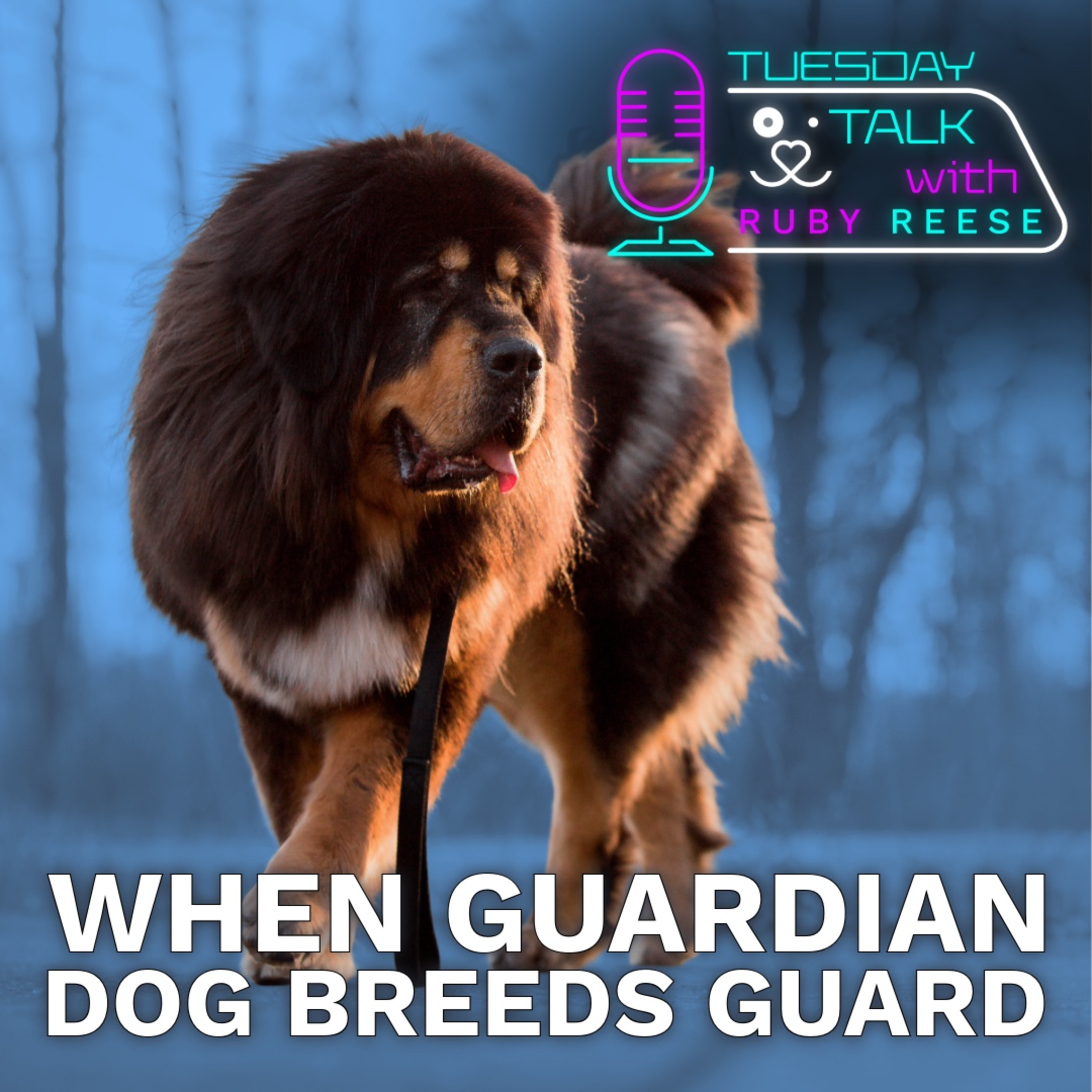 Tuesday Talks with Ruby Reese