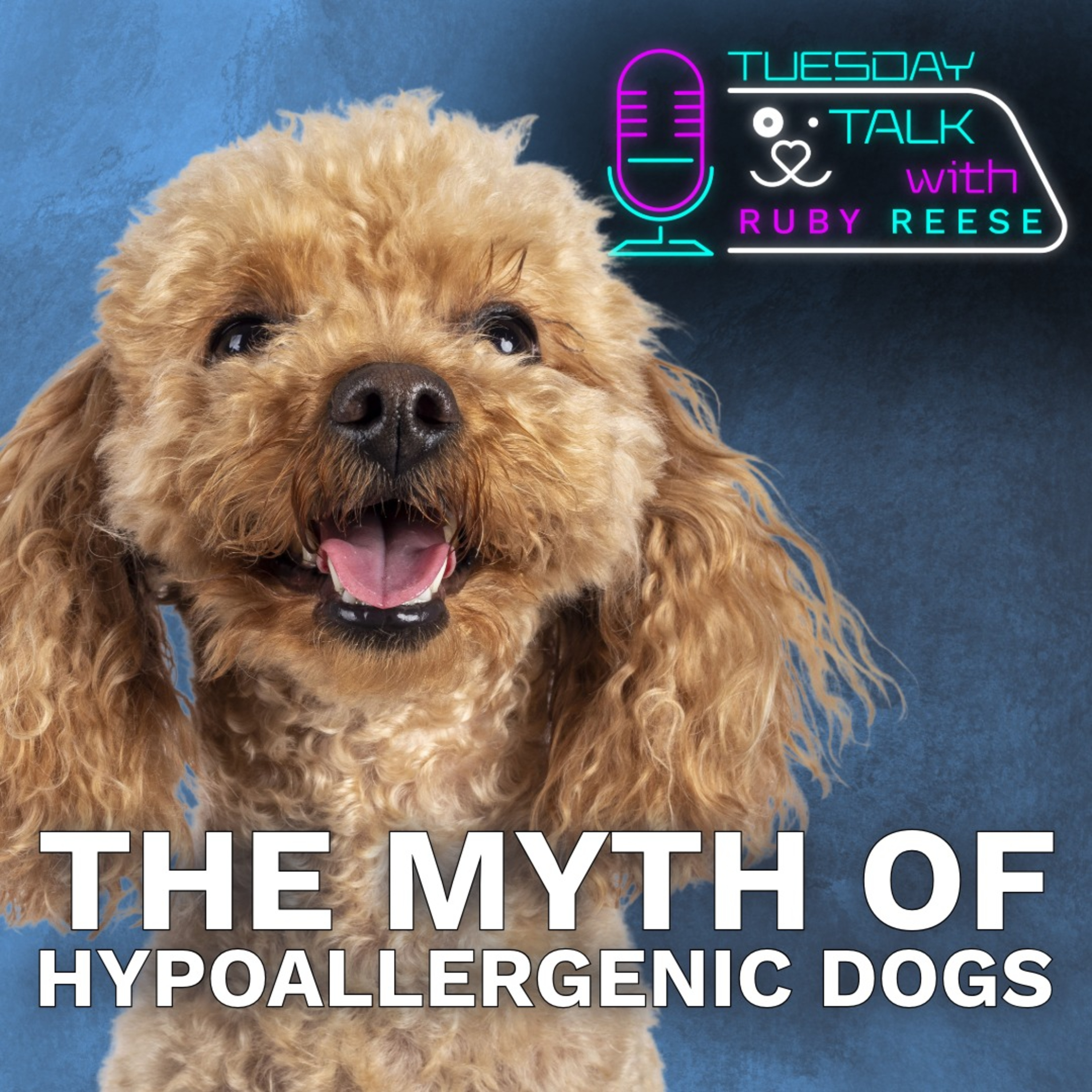 Tuesday Talks with Ruby Reese