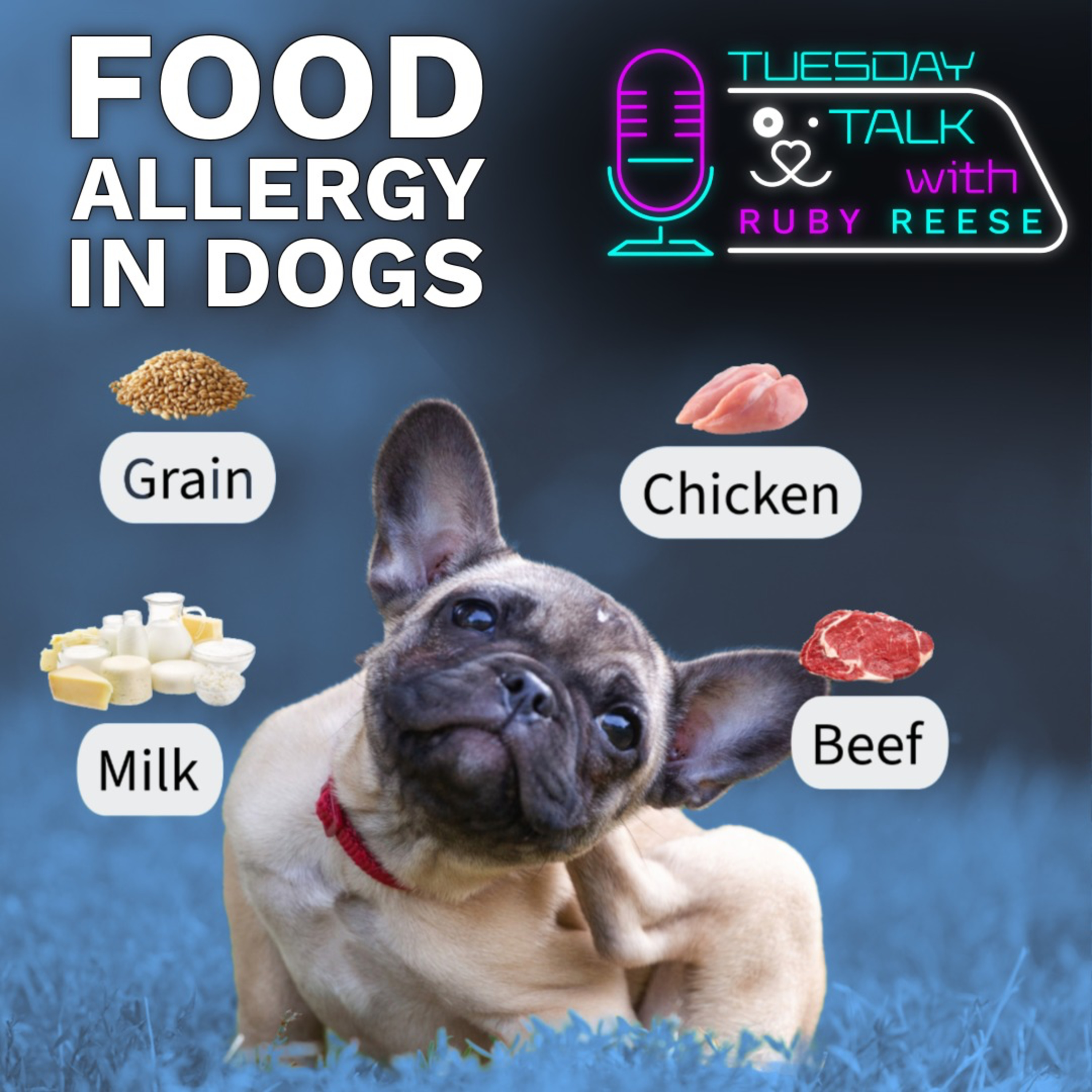 Tuesday Talks with Ruby Reese