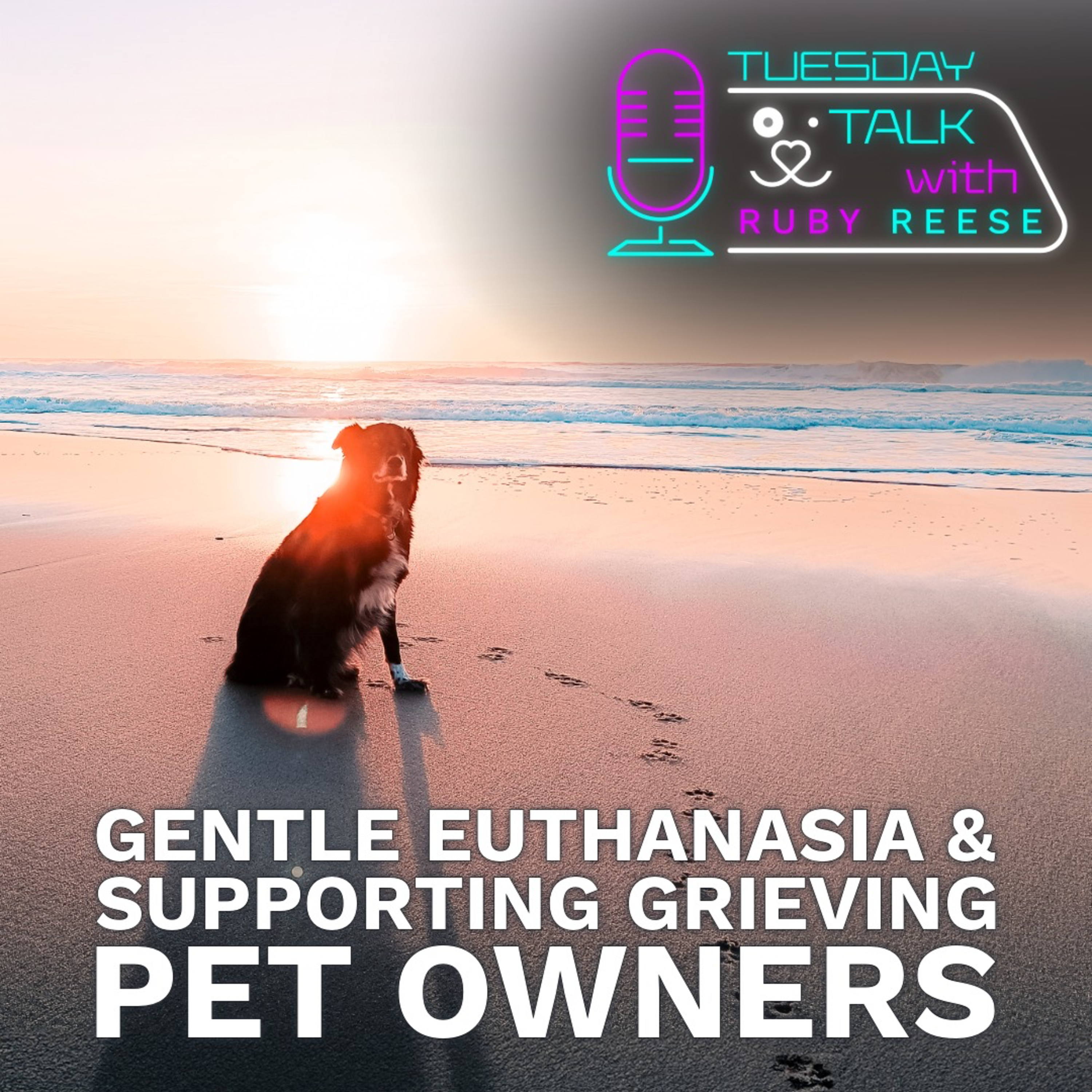 Gentle Euthanasia & Supporting Grieving Pet Owners episode artwork