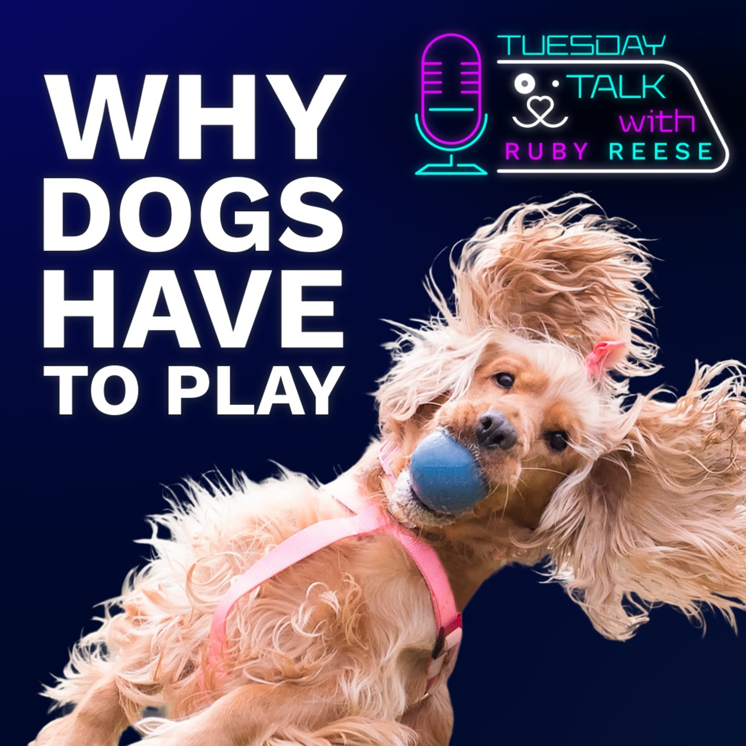 Tuesday Talks with Ruby Reese