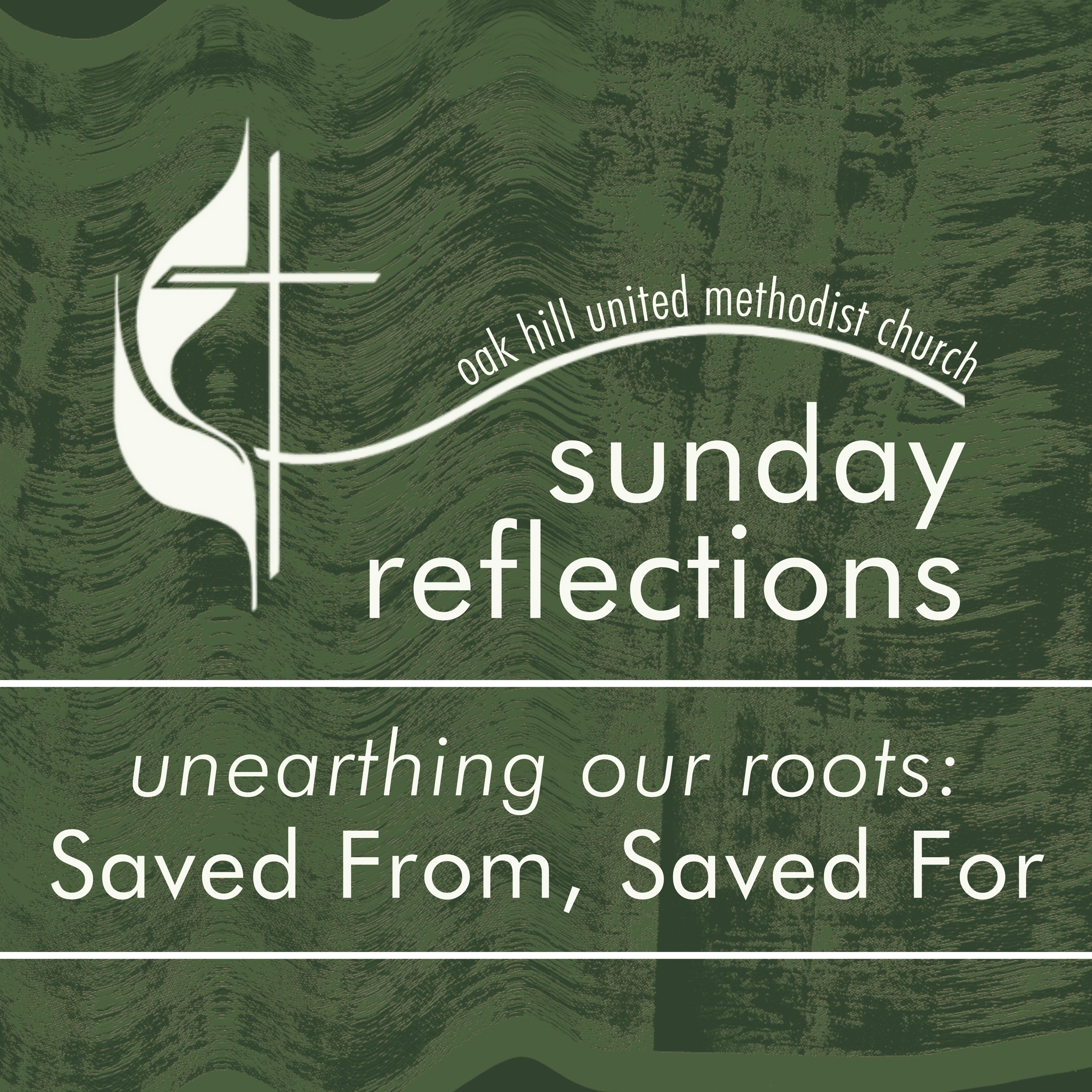 Saved From, Saved For | Susan McBride episode artwork