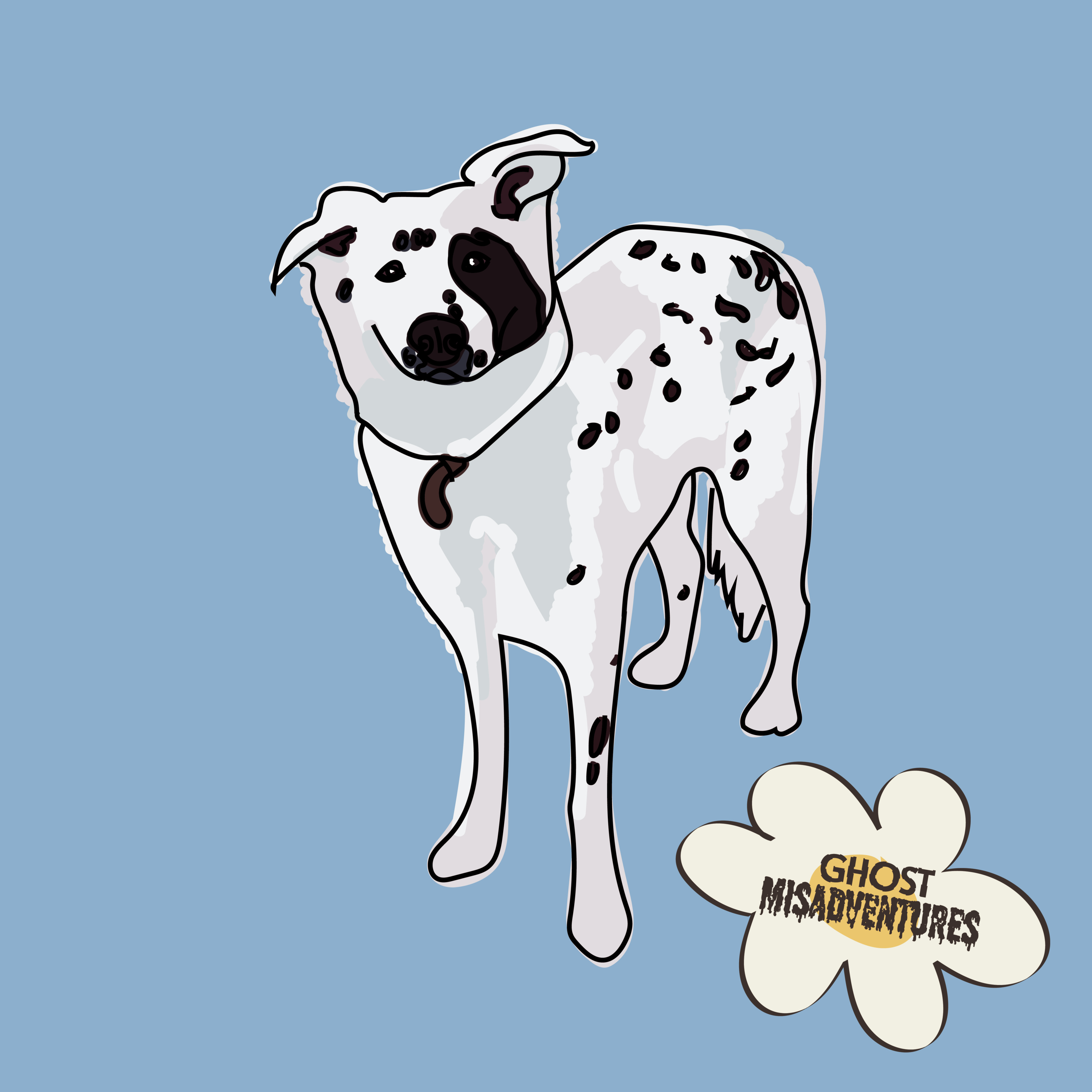 Cover art for Brookdale Lodge