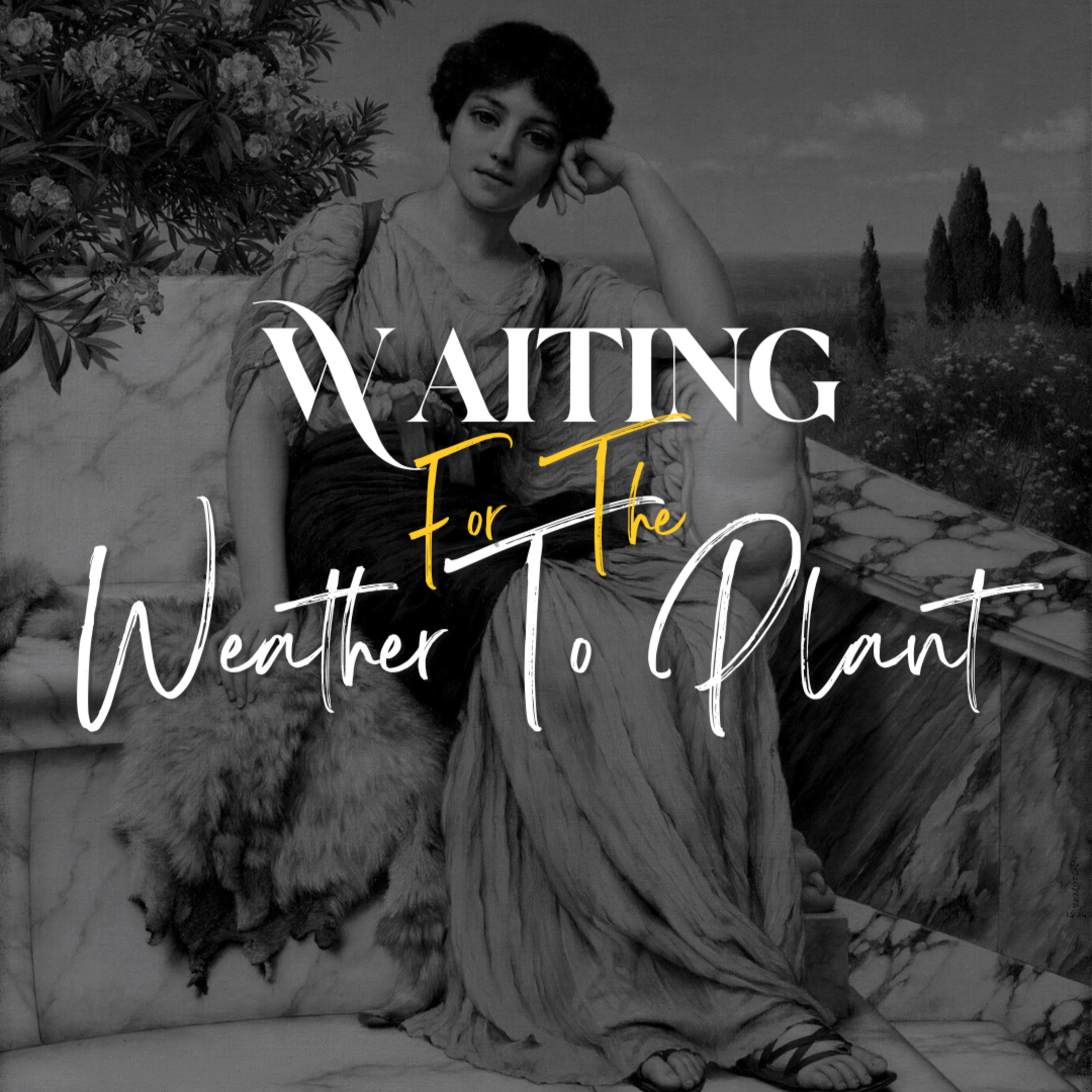 Waiting For The Weather To Plant - Gabi Joe Productions episode artwork