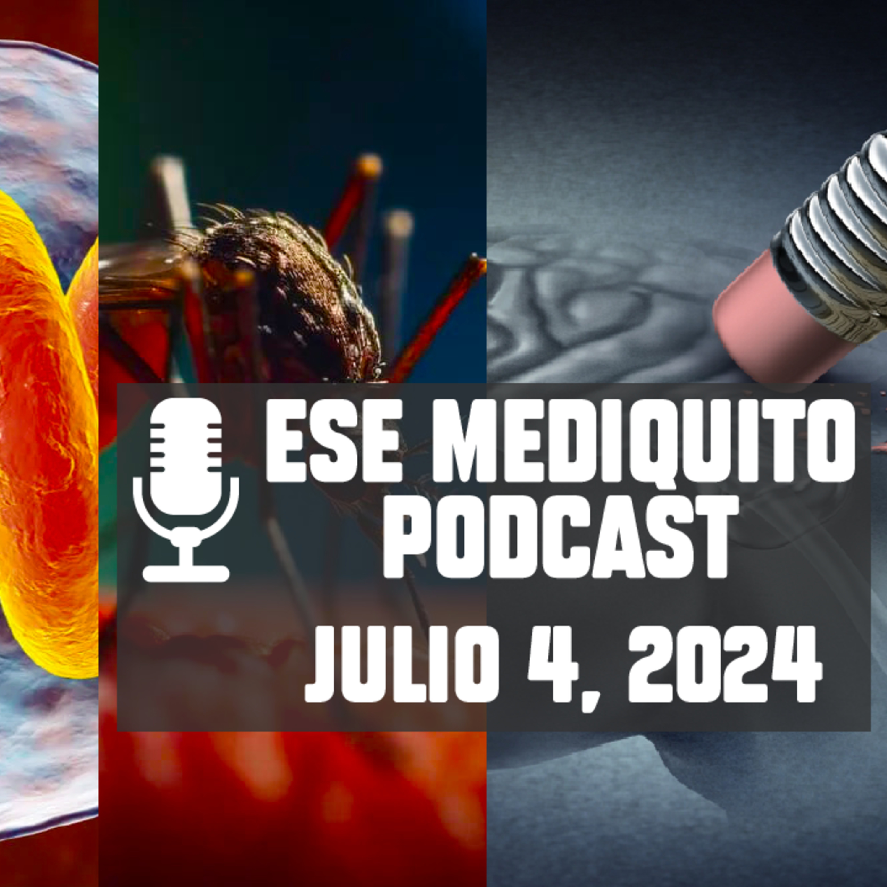 Florida con DENGUE | ALZHEIMER hoy | Triquinosis en Argentina | Julio 4, 2024 - Podcast #5 episode artwork