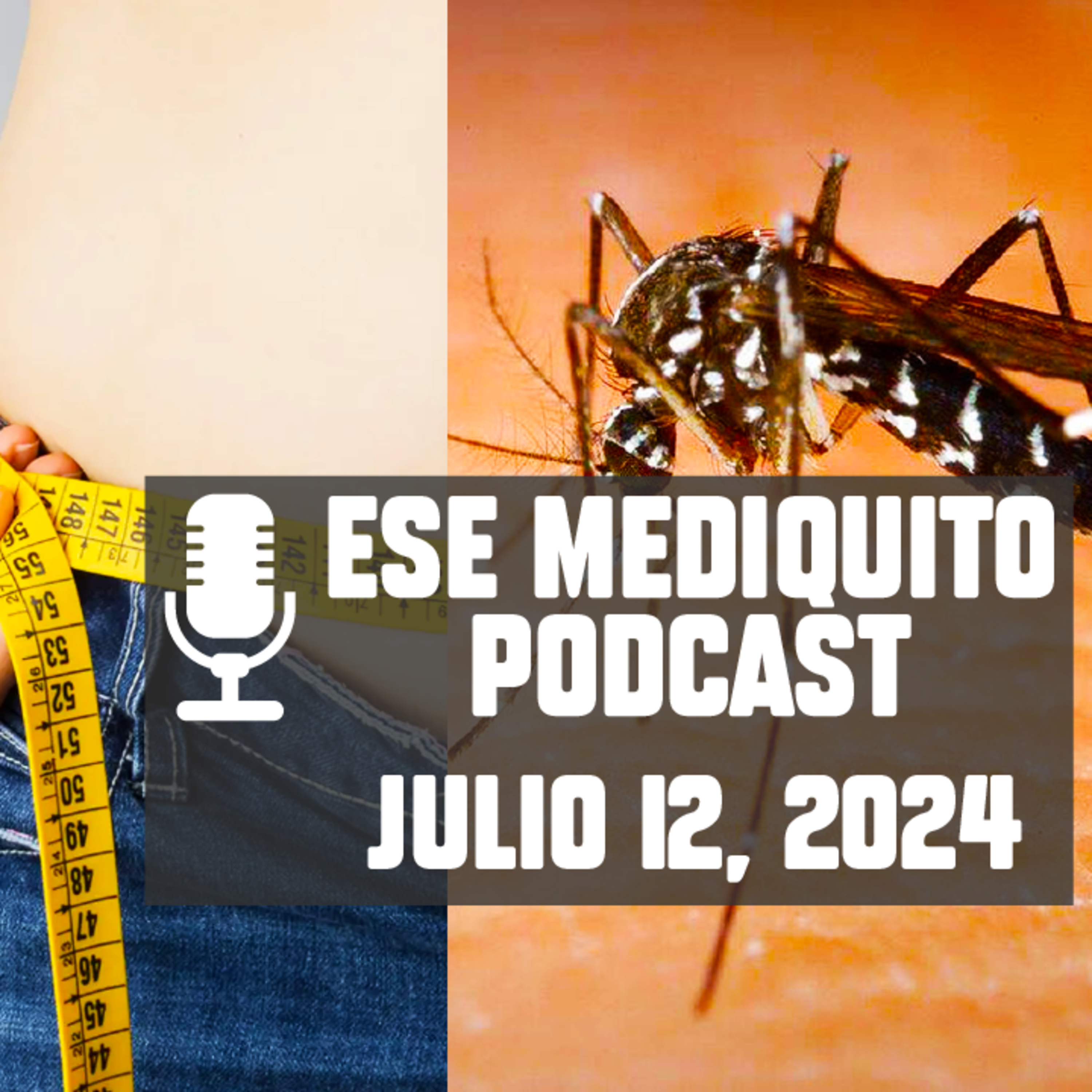 SÍFILIS en Houston | OBESIDAD | VIRUS DEL NILO OCCIDENTAL | Julio 12, 2024 - Podcast #11 episode artwork