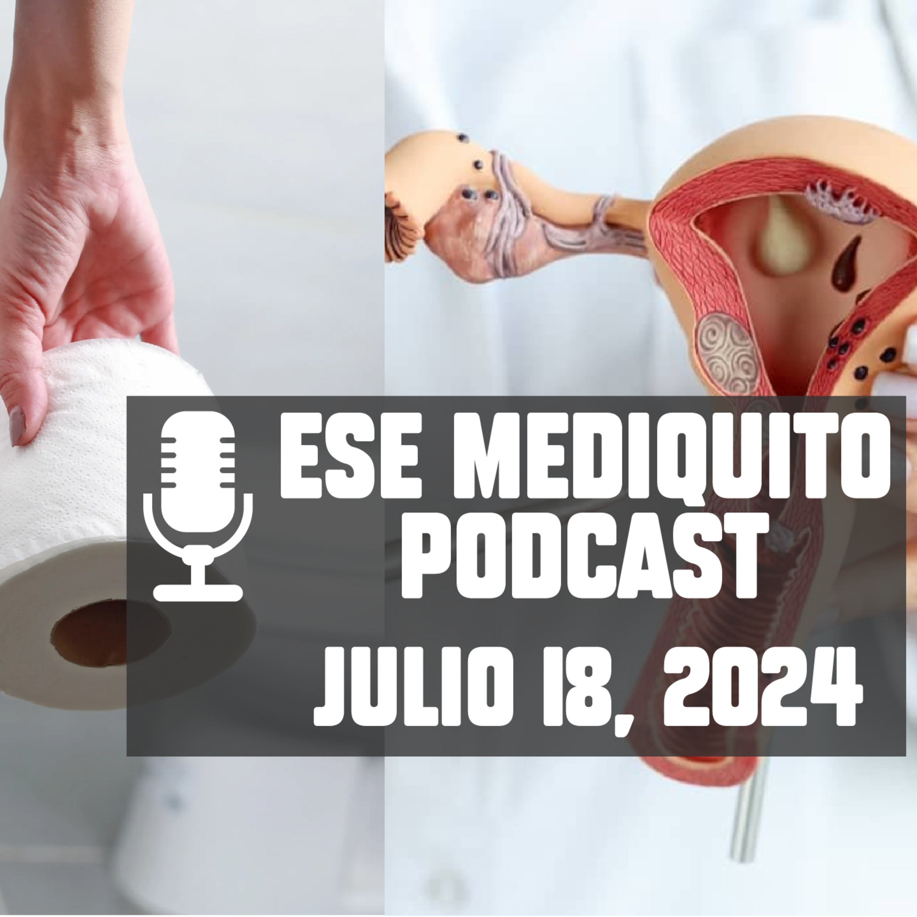 ¿Cuántas veces debes de ir al baño? | Así te afecta la OLA DE CALOR | Julio 18, 2024 - Podcast #14 episode artwork