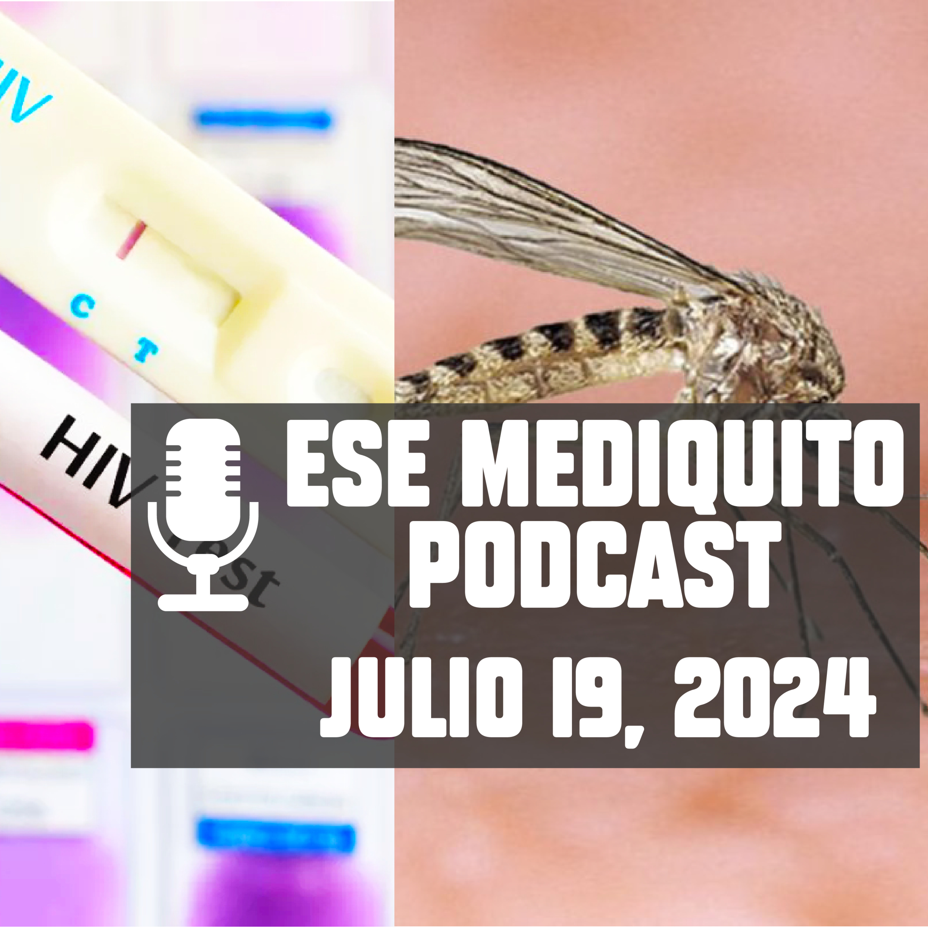 DENGUE en República Dominicana | OROPOUCHE en embarazadas | Julio 19, 2024 - Podcast #15 episode artwork