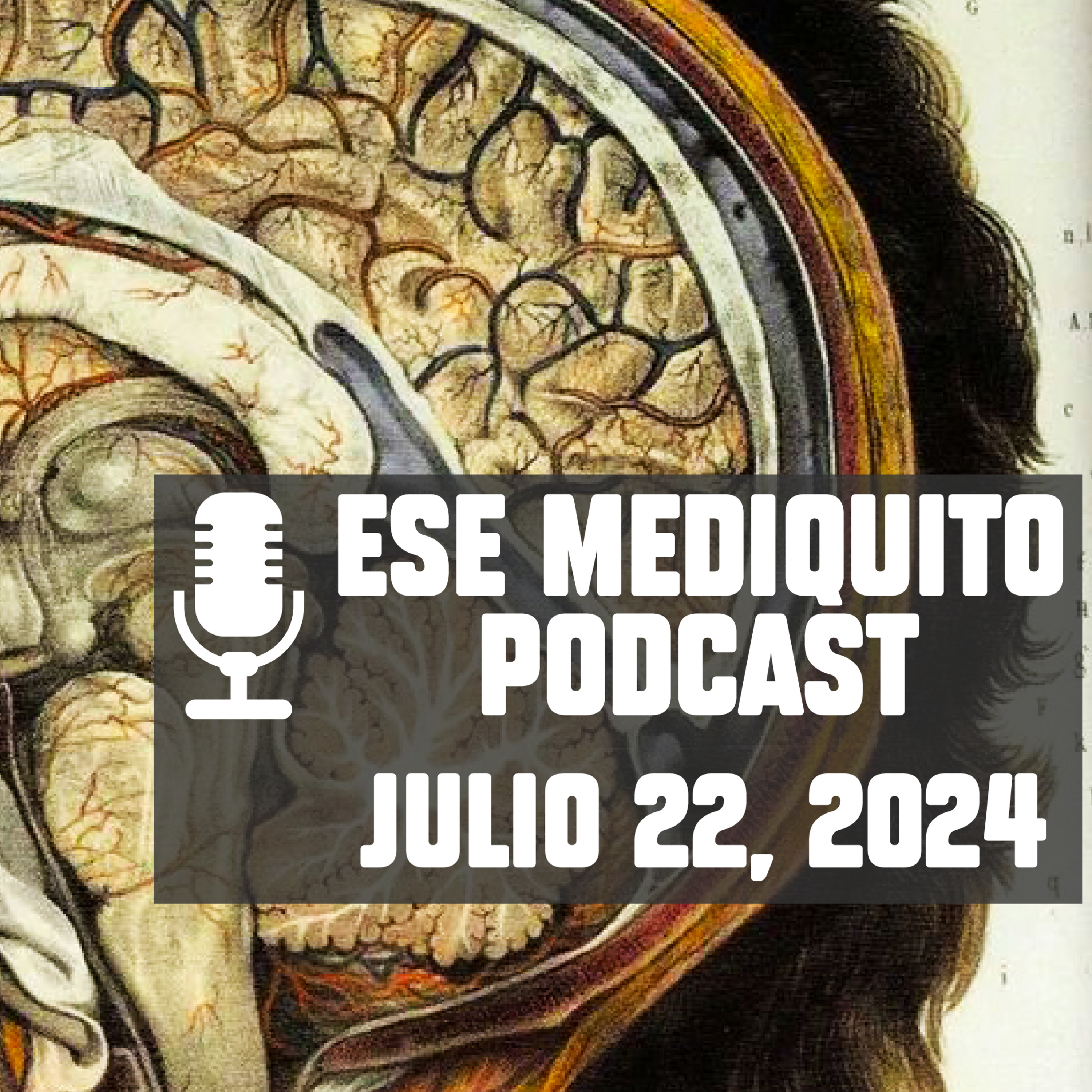 ¿Cómo Funciona el CEREBRO Humano? DÍA MUNDIAL DEL CEREBRO | Julio 22, 2024 - Podcast #17 episode artwork
