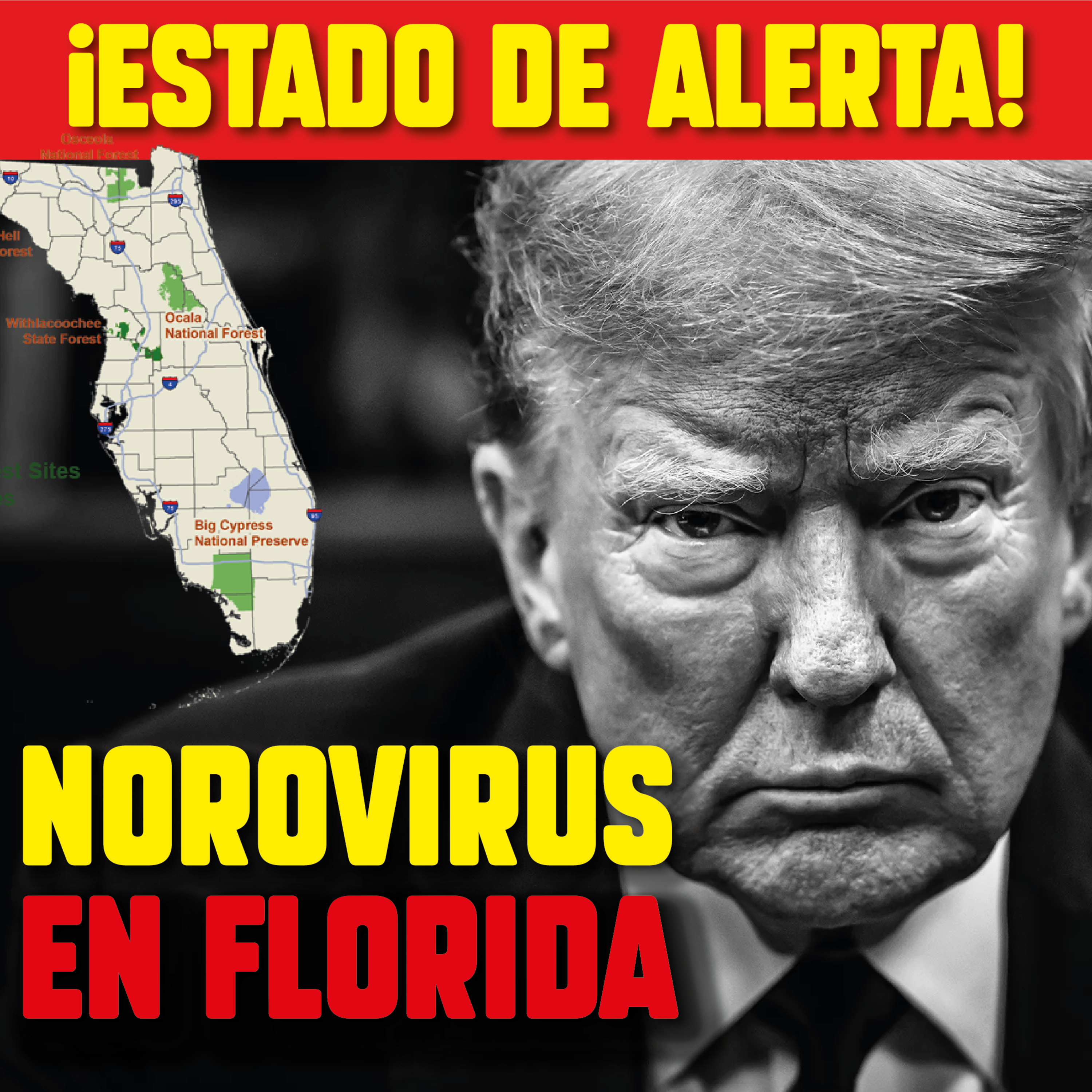 ALERTA de Virus Estomacal en Florida USA · Qué es el norovirus · Lo que necesitas saber del Norwalk episode artwork