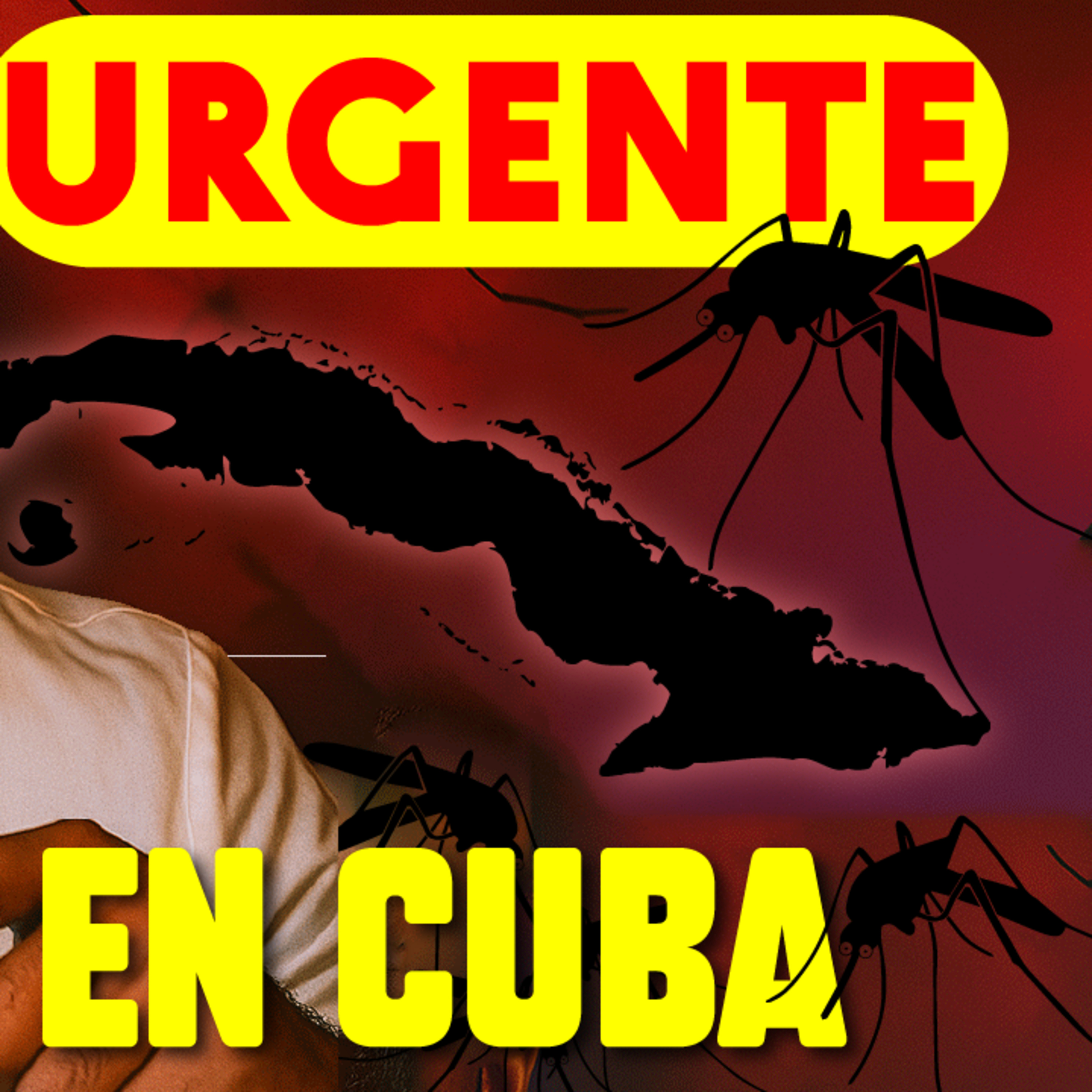 ¡Alerta en Cuba! Brote de Dengue, Chikungunya y Oropouche se expanden • Cuba Hoy ¿colapso sanitario? episode artwork