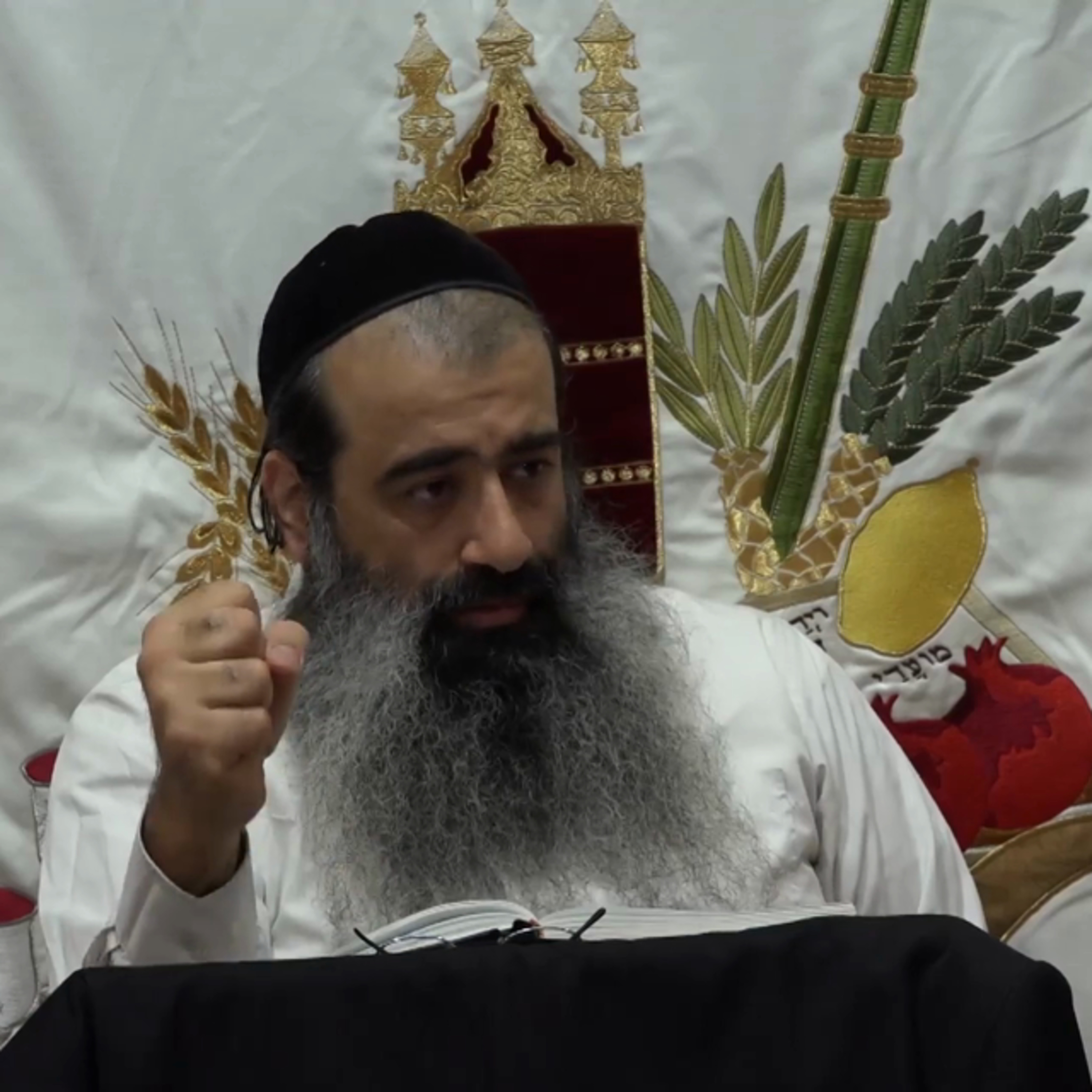 הרצון לחיים episode artwork
