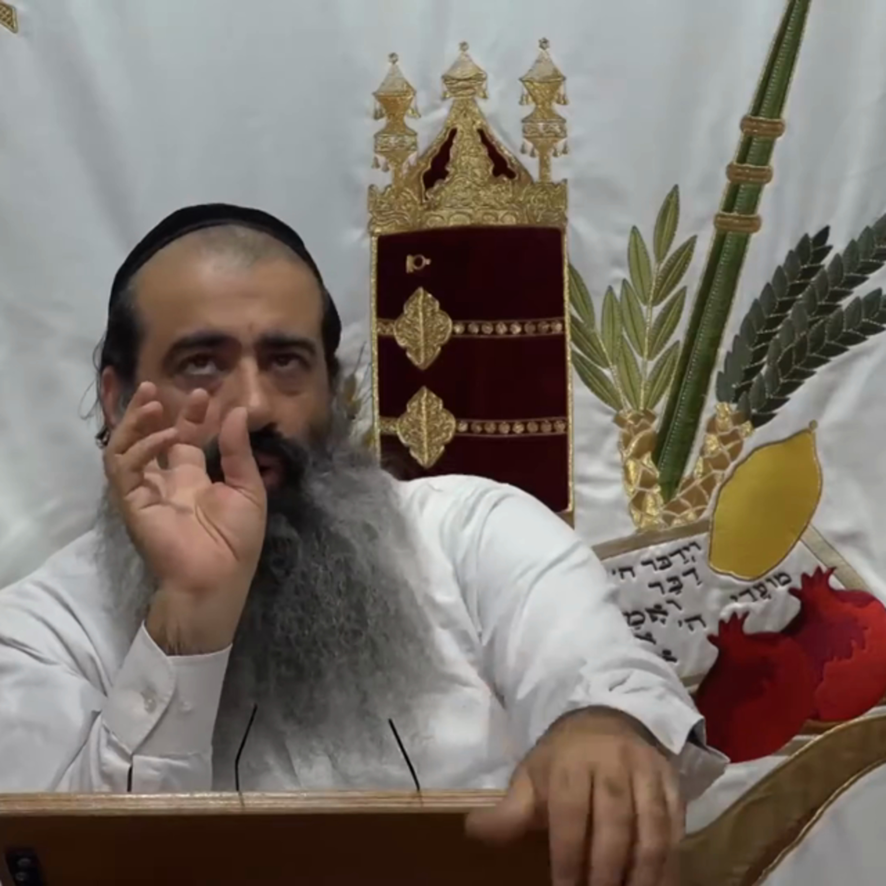 "הגולגולתא" רצון הרצונות | "תומר דבורה" שיעור 4 "Tomer Devorah" episode artwork