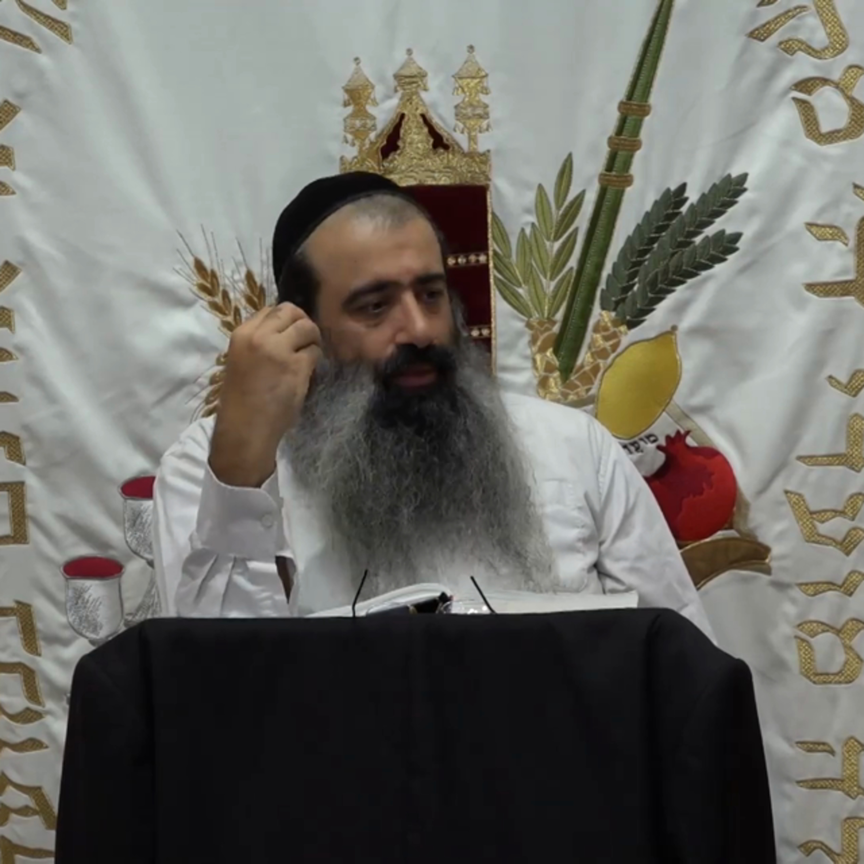 תומר דבורה שיעור 5 episode artwork