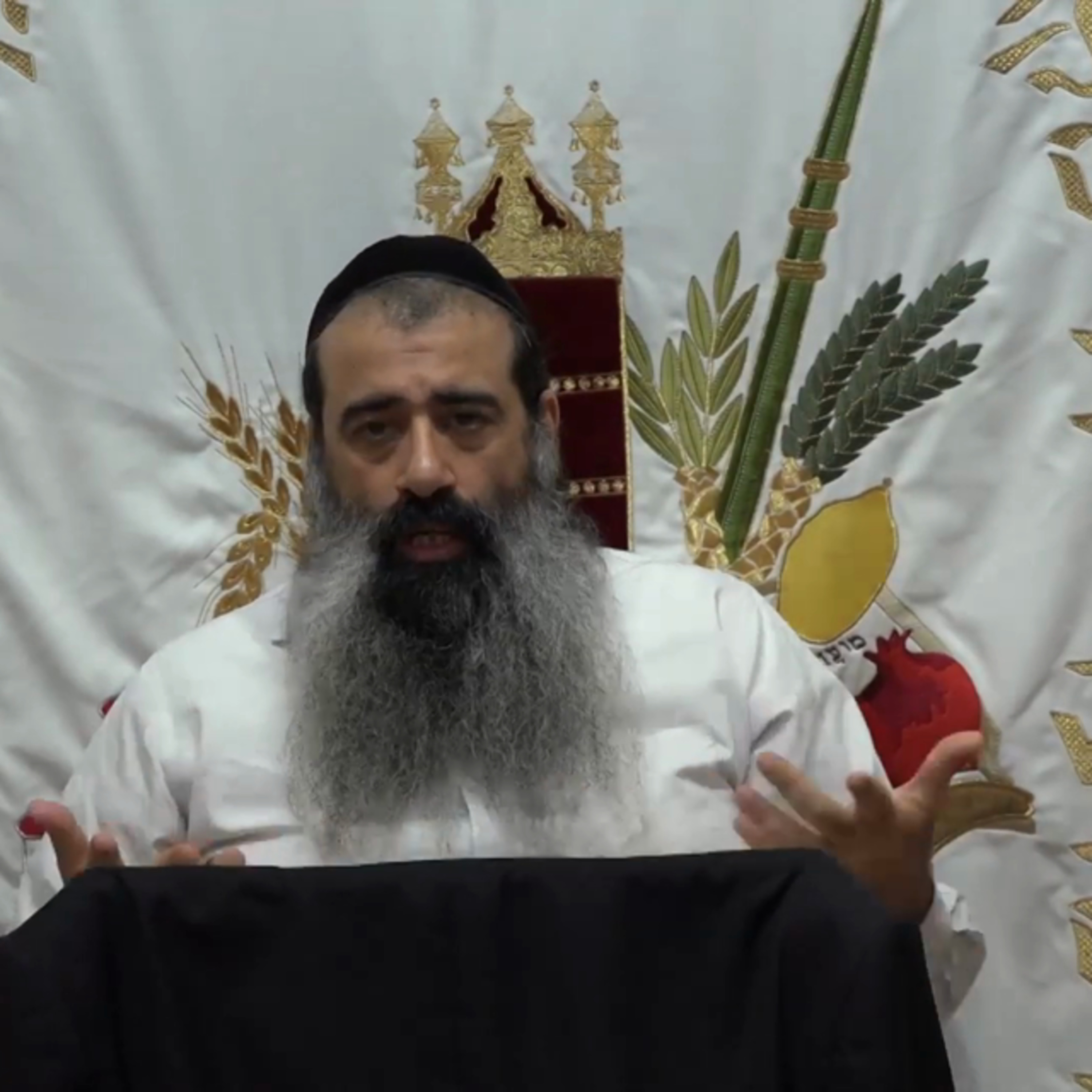 תומר דבורה שיעור 7 episode artwork