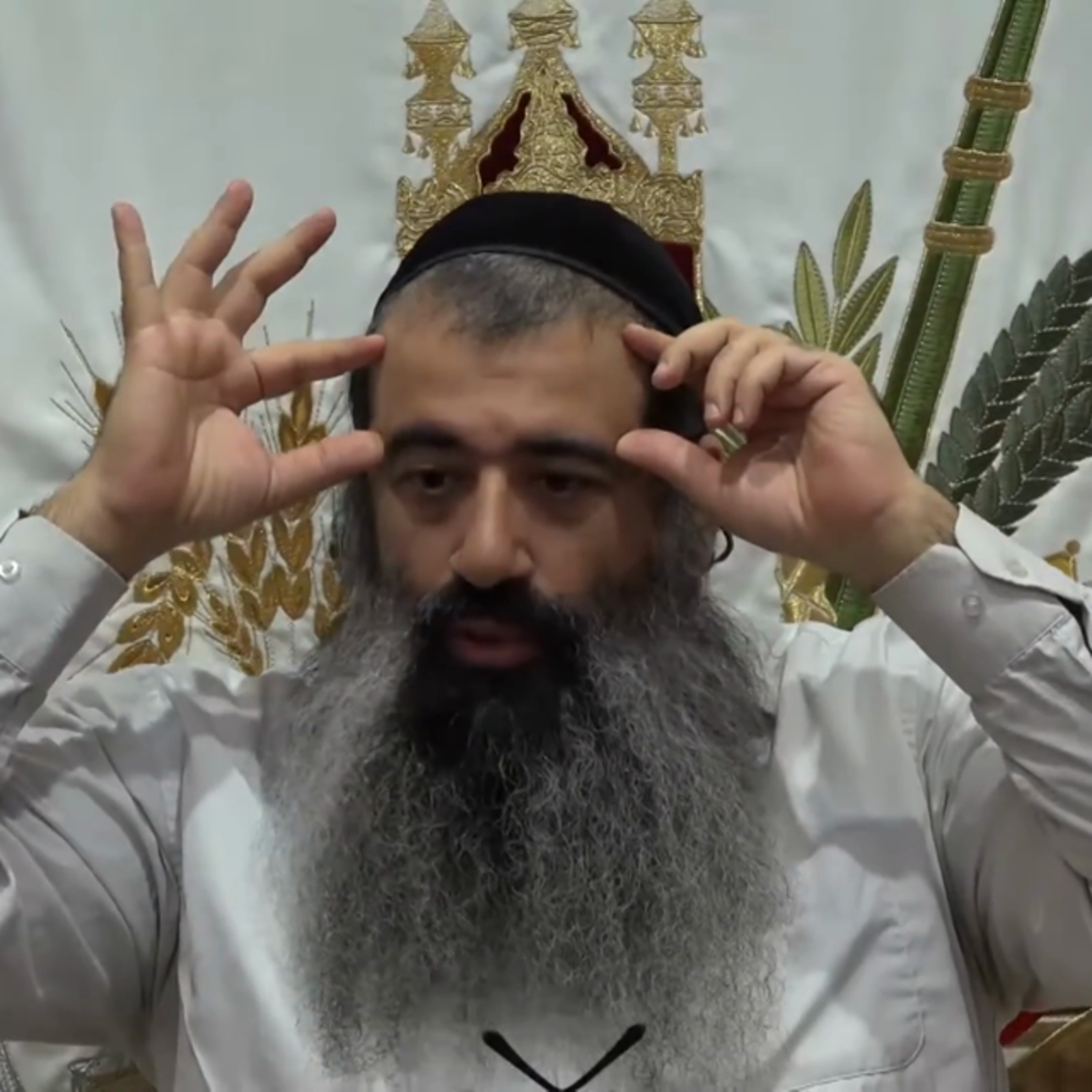 תומר דבורה שיעור 8 episode artwork