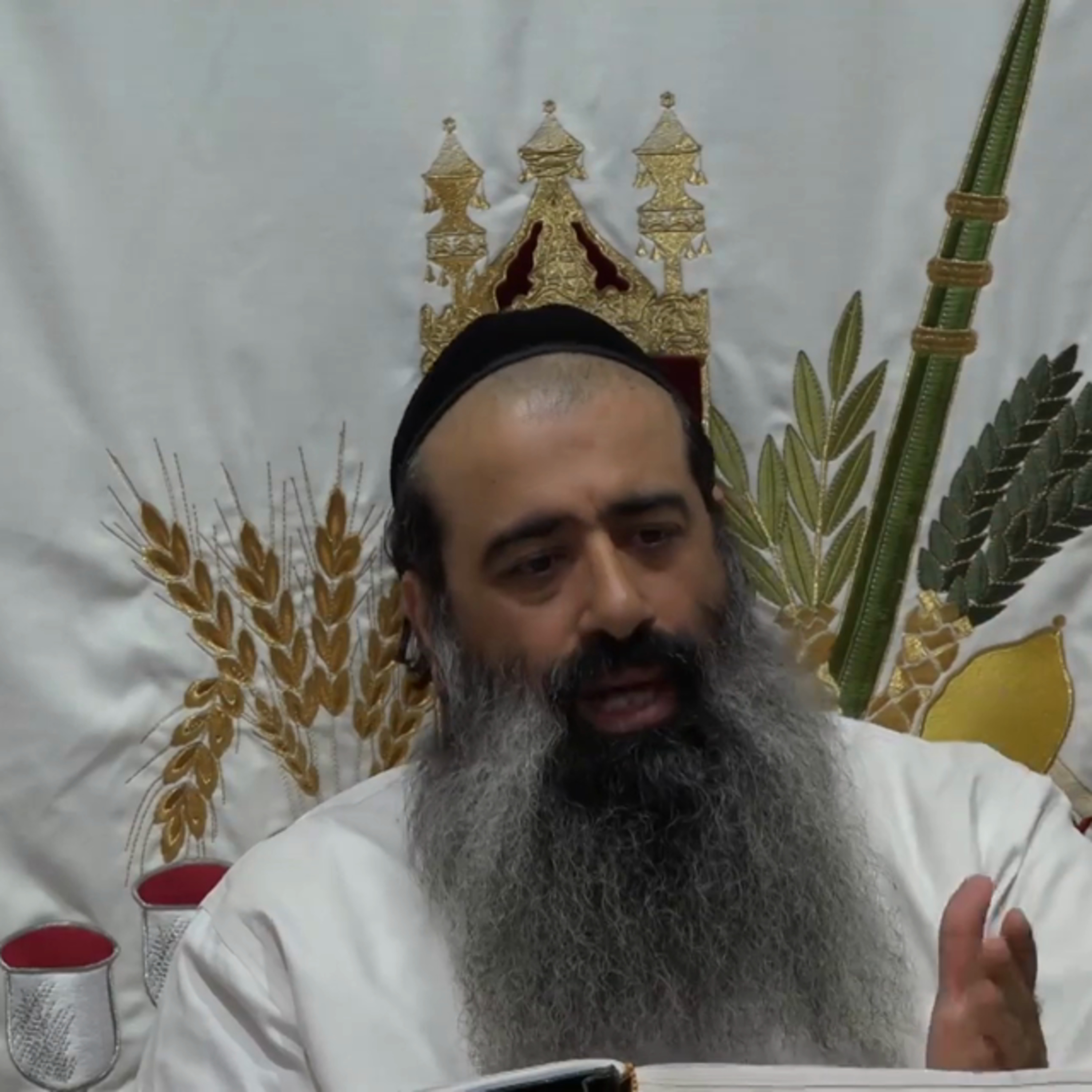 יחוד המרכבה 14 episode artwork