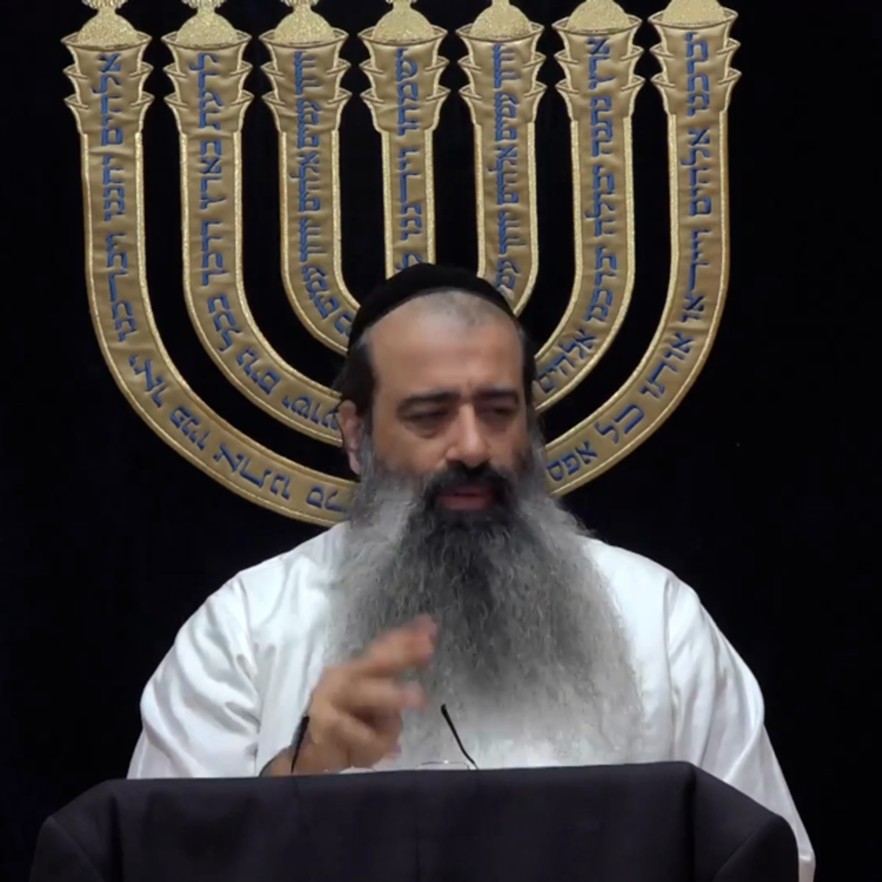 תומר דבורה שיעור 14 (25 בפועל) episode artwork