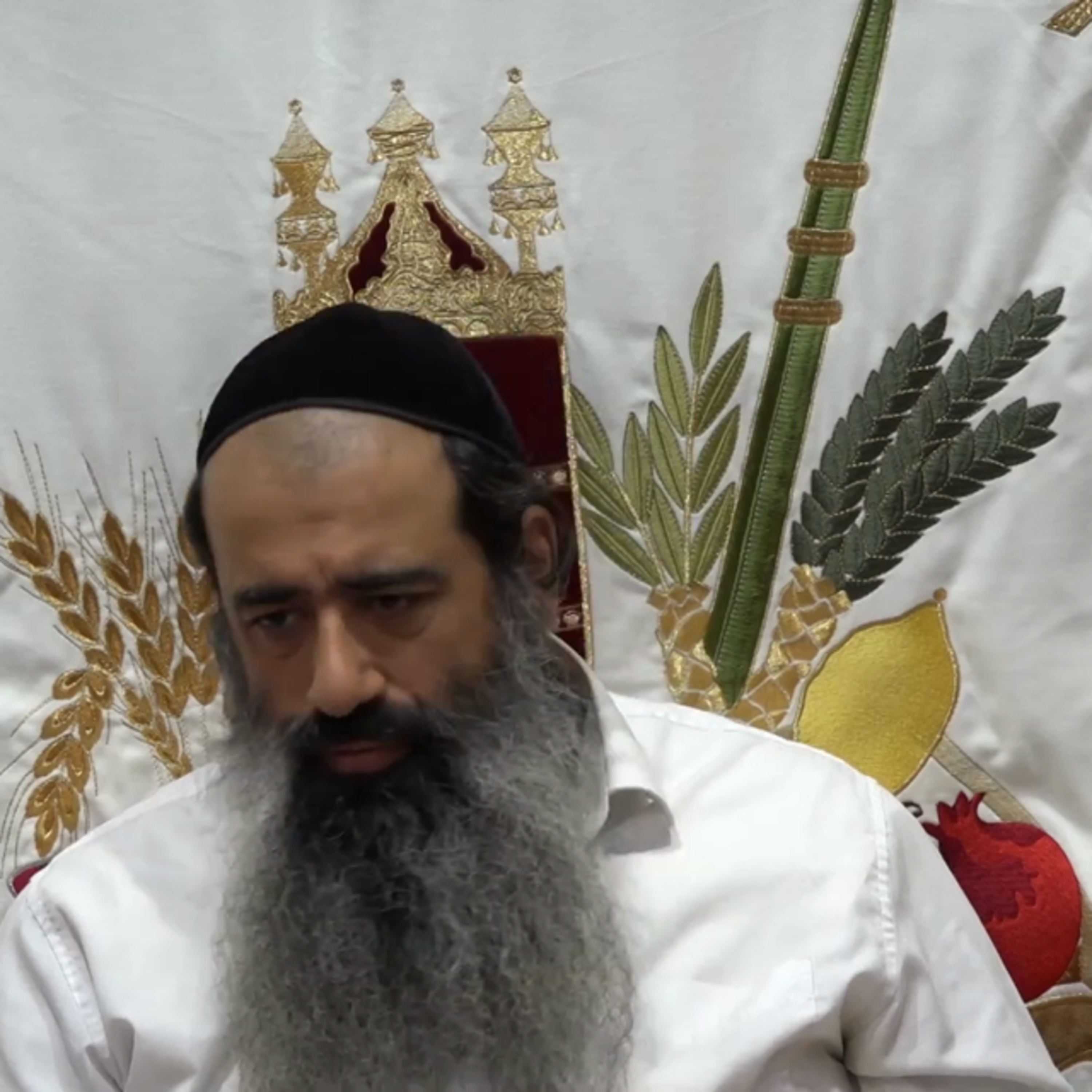 יחוד המרכבה 19 episode artwork