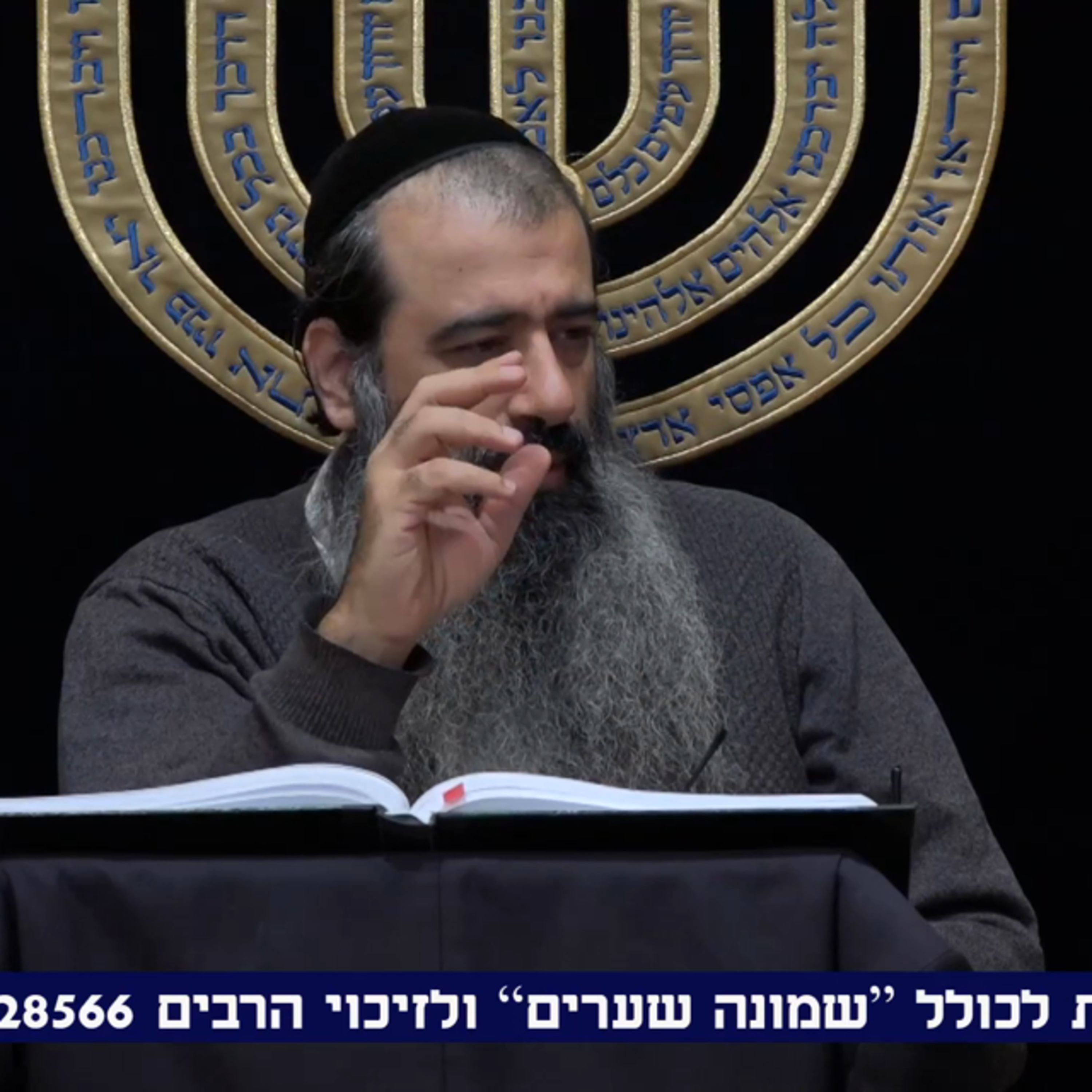 תומר דבורה שיעור 16 (27 בפועל) episode artwork