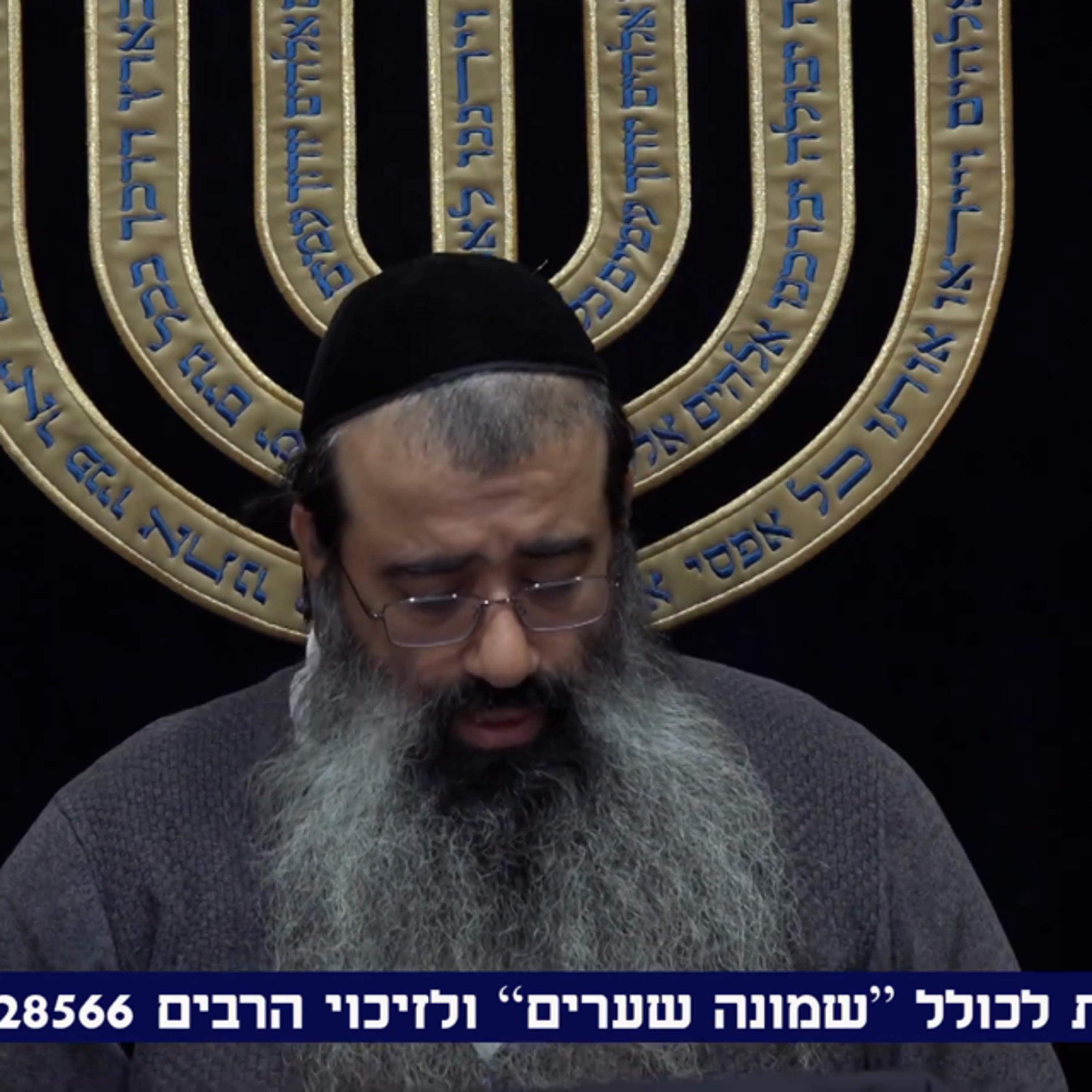 תומר דבורה שיעור 17 (28 בפועל) episode artwork