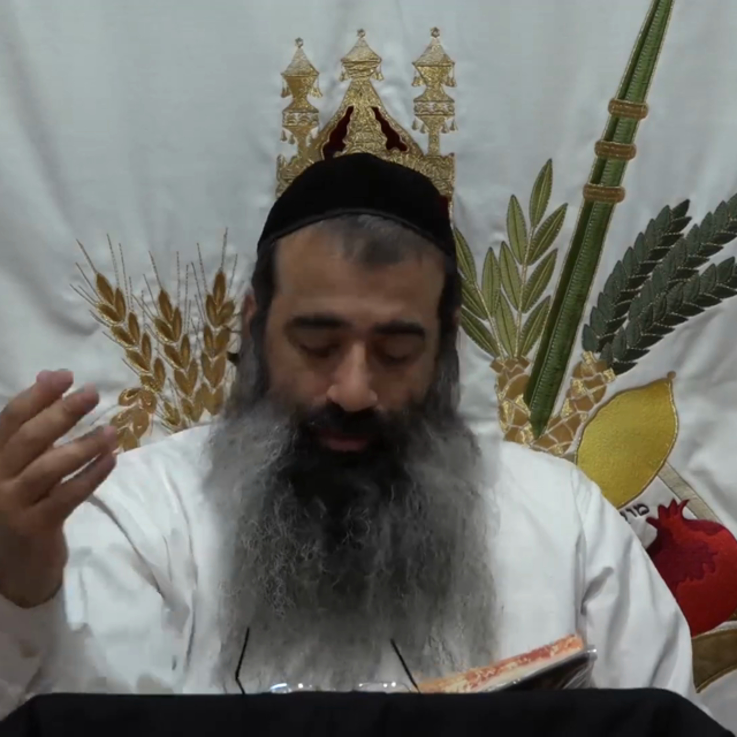 הגדה של פסח שיעור 5 episode artwork