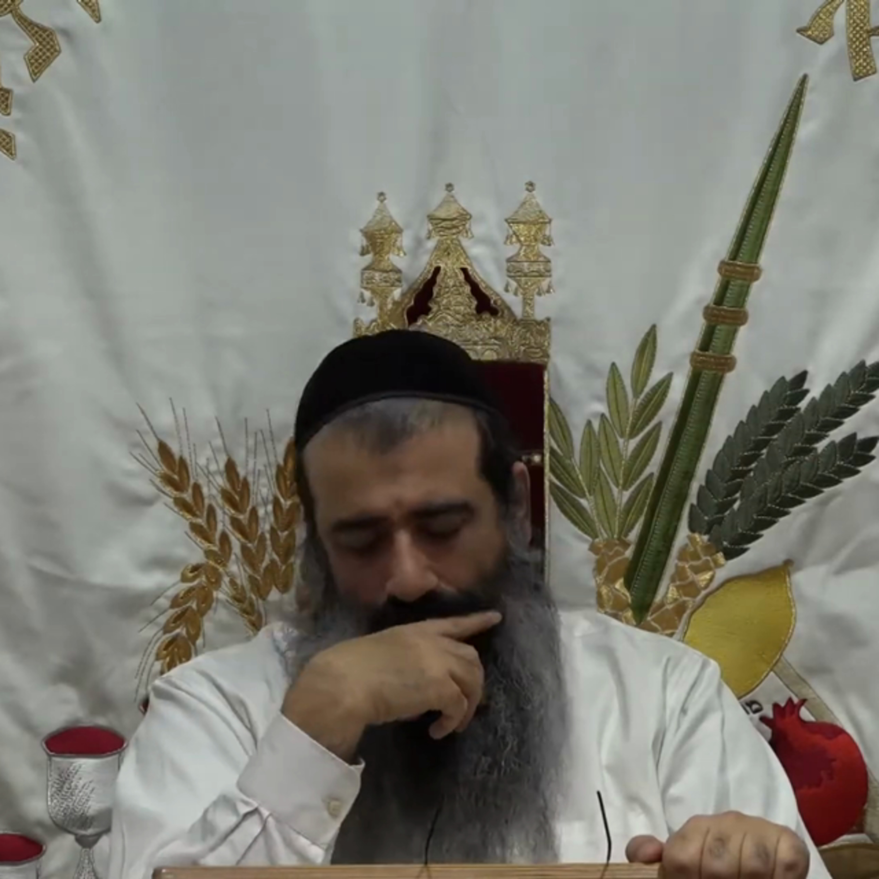 הגדה של פסח שיעור 4 episode artwork
