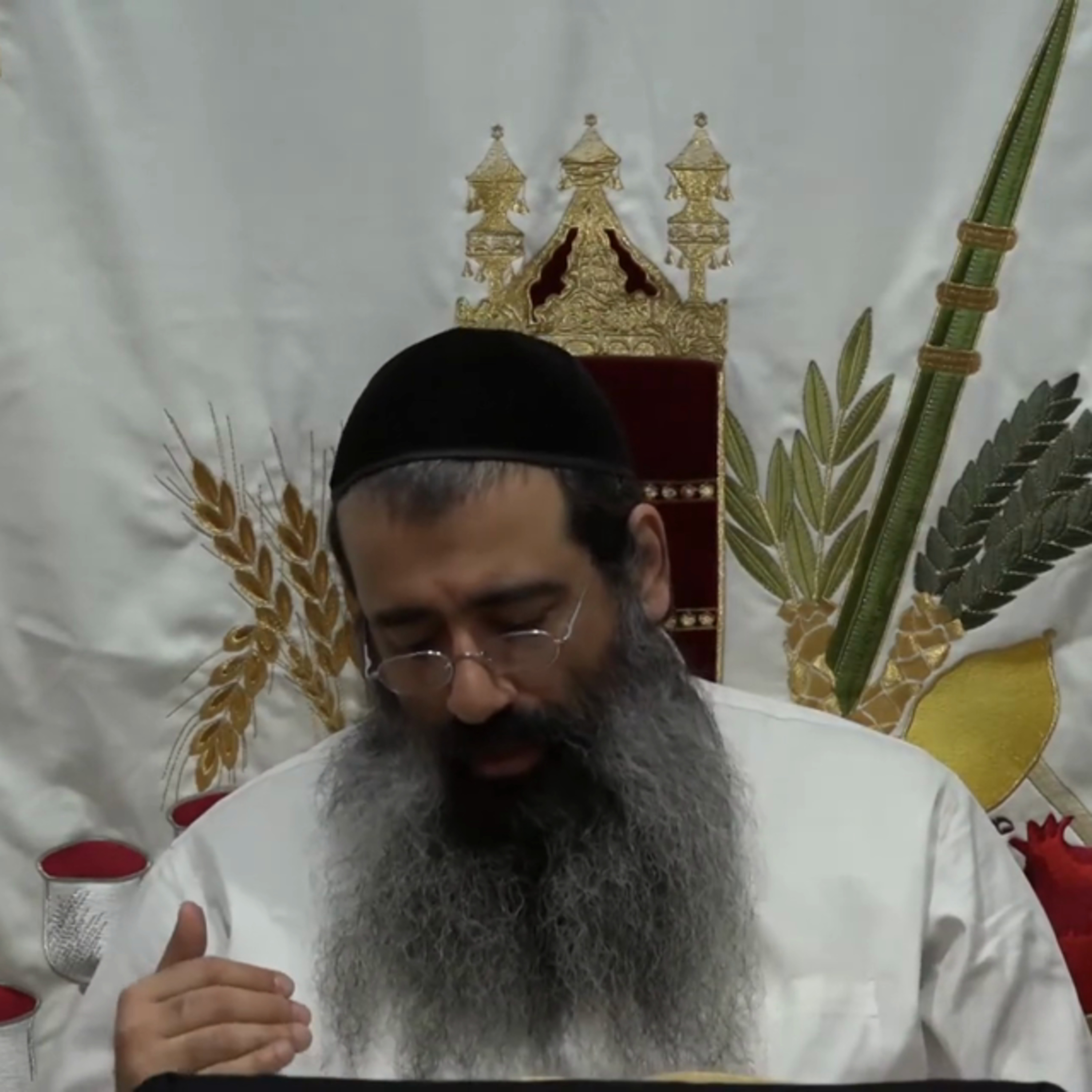 הגדה של פסח שיעור 3 episode artwork