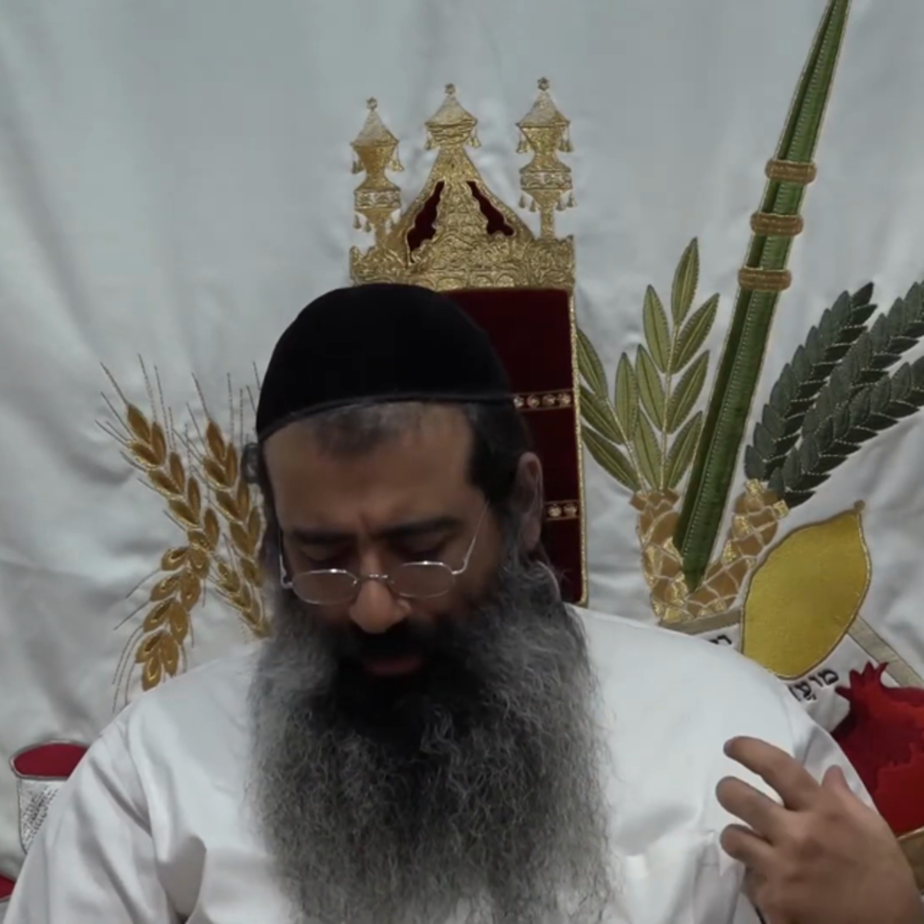 הגדה של פסח שיעור 6 episode artwork