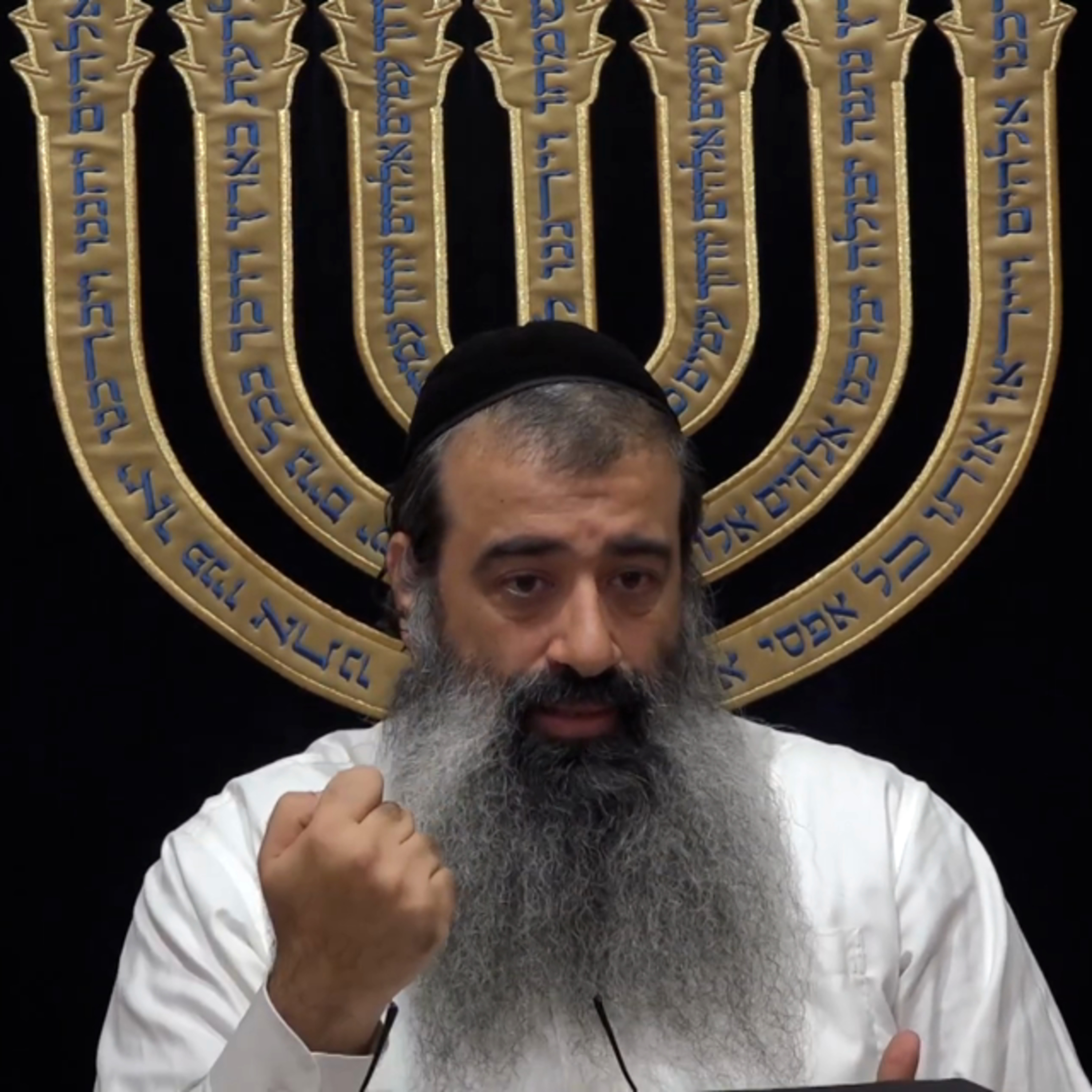 "הבינה" | "תומר דבורה" שיעור 18 "Tomer Devorah" (29 בפועל) episode artwork