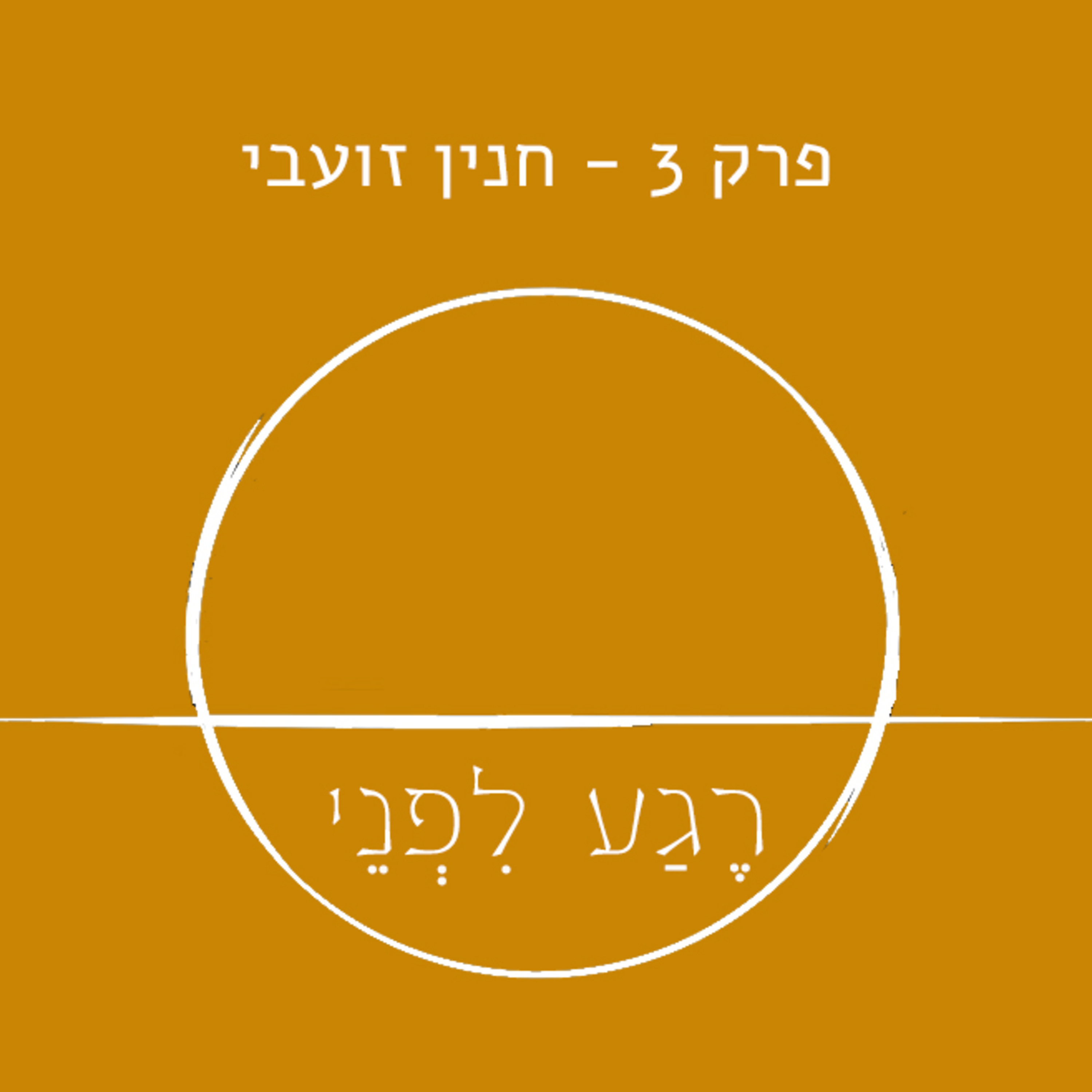 פרק שלישי - חנין זועבי episode artwork