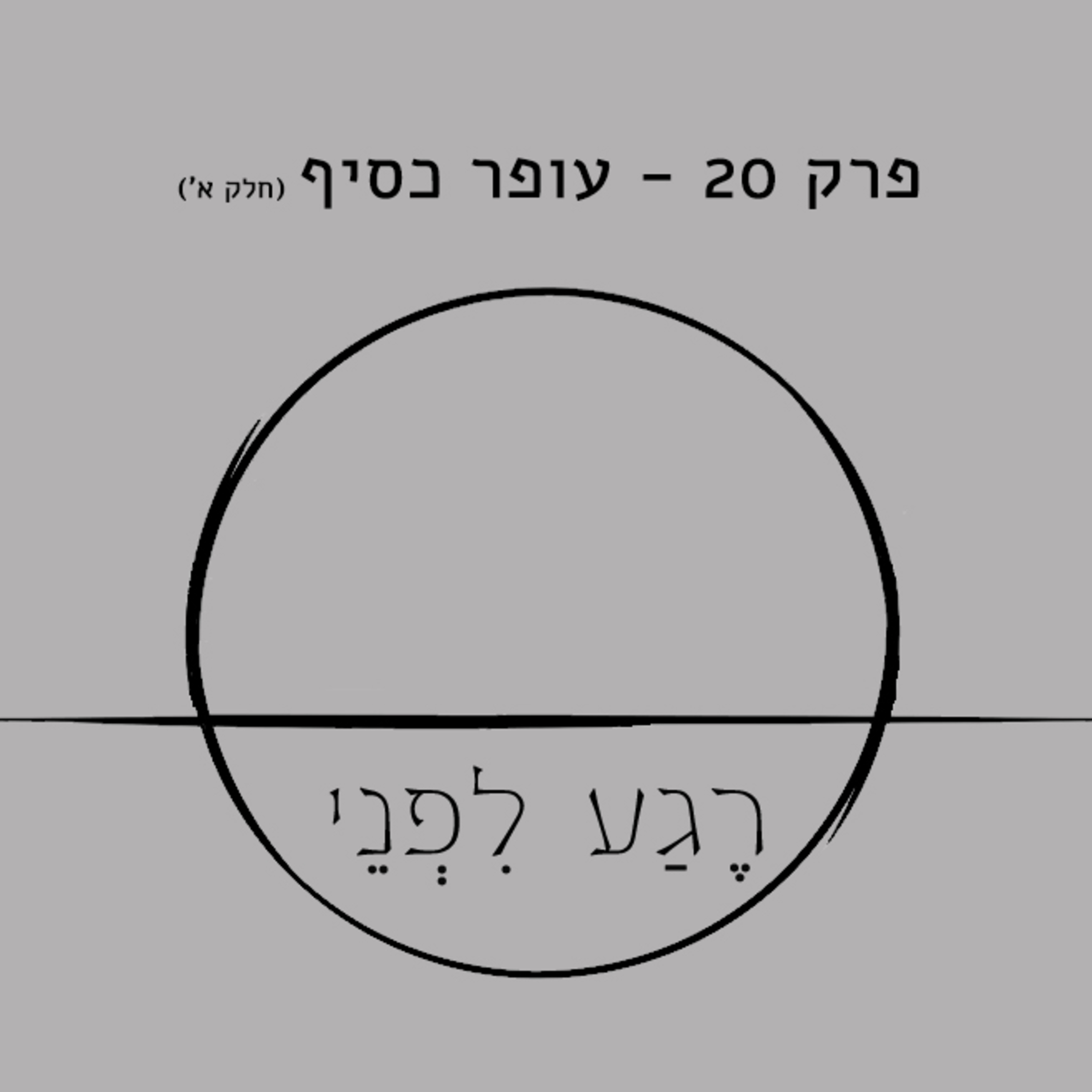 פרק 20 - עופר כסיף