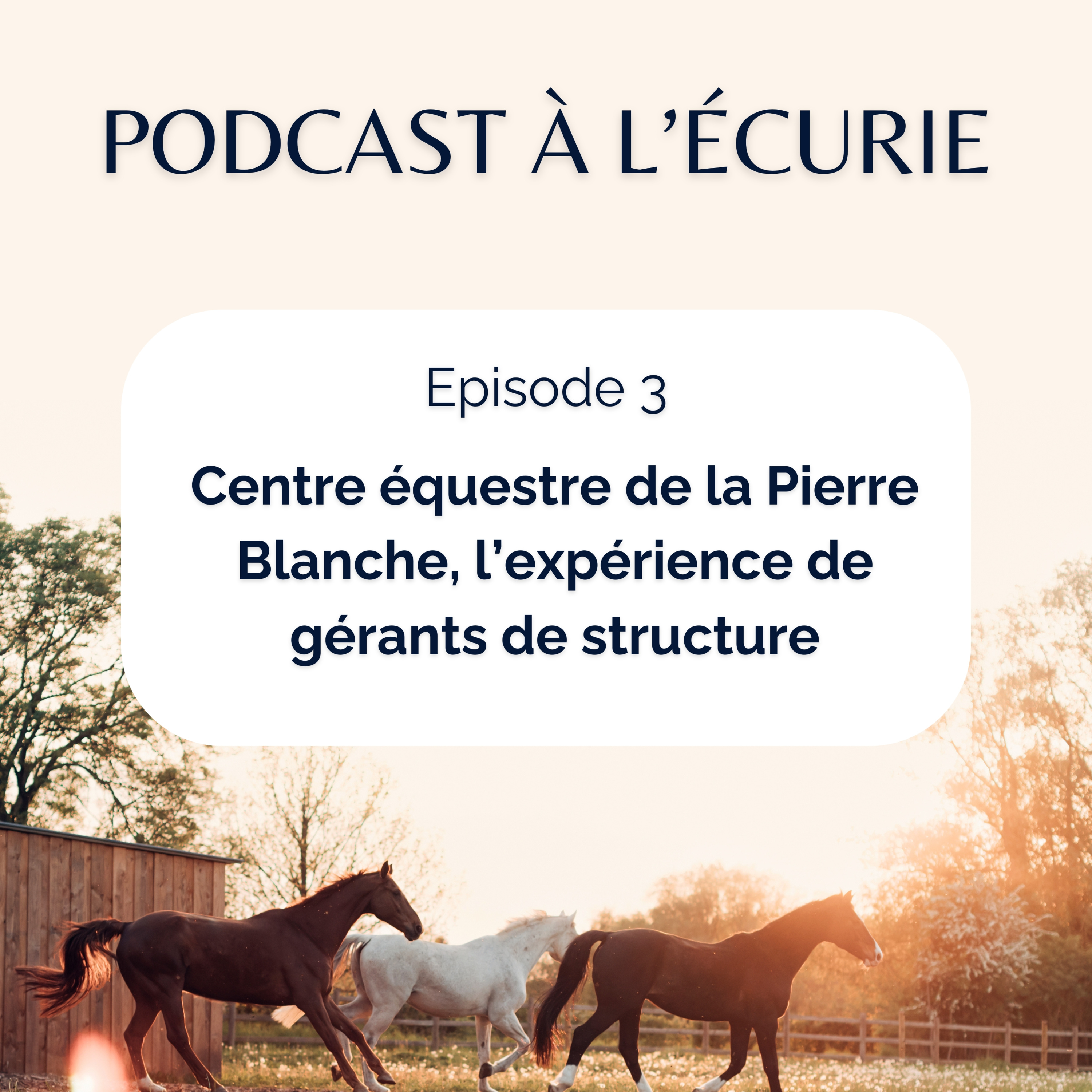 Podcast à l\'écurie