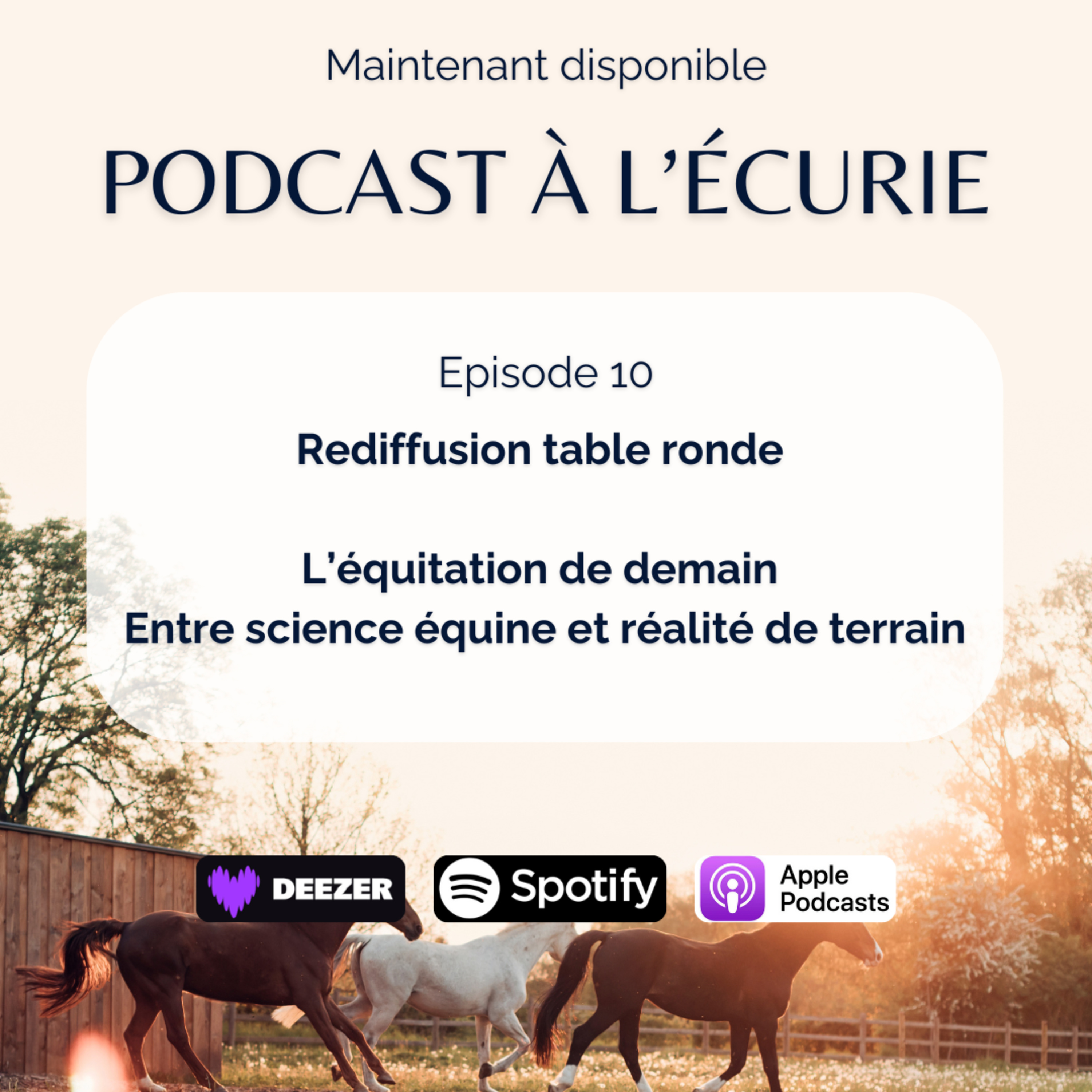 L’équitation de demain, entre sciences équines et réalités du terrain