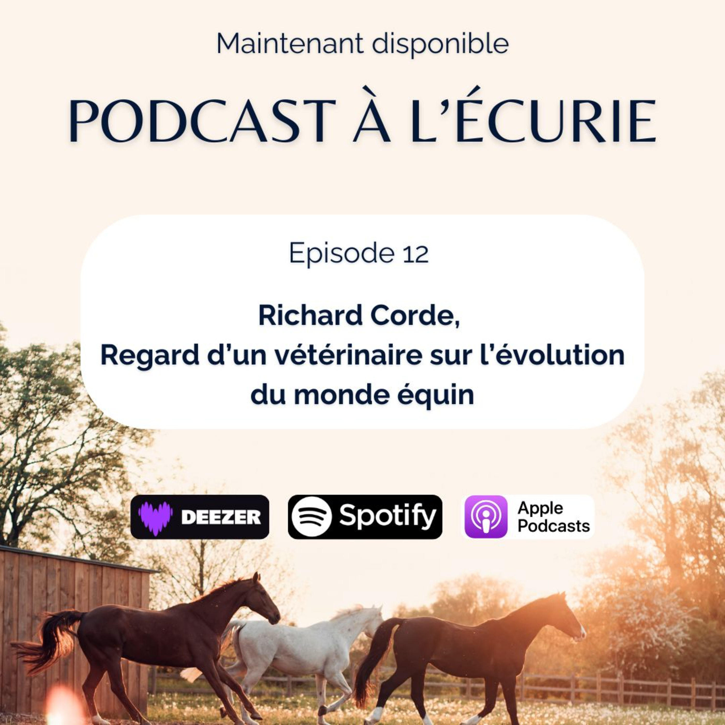 Richard Corde, regard d’un vétérinaire sur l’évolution du monde équin