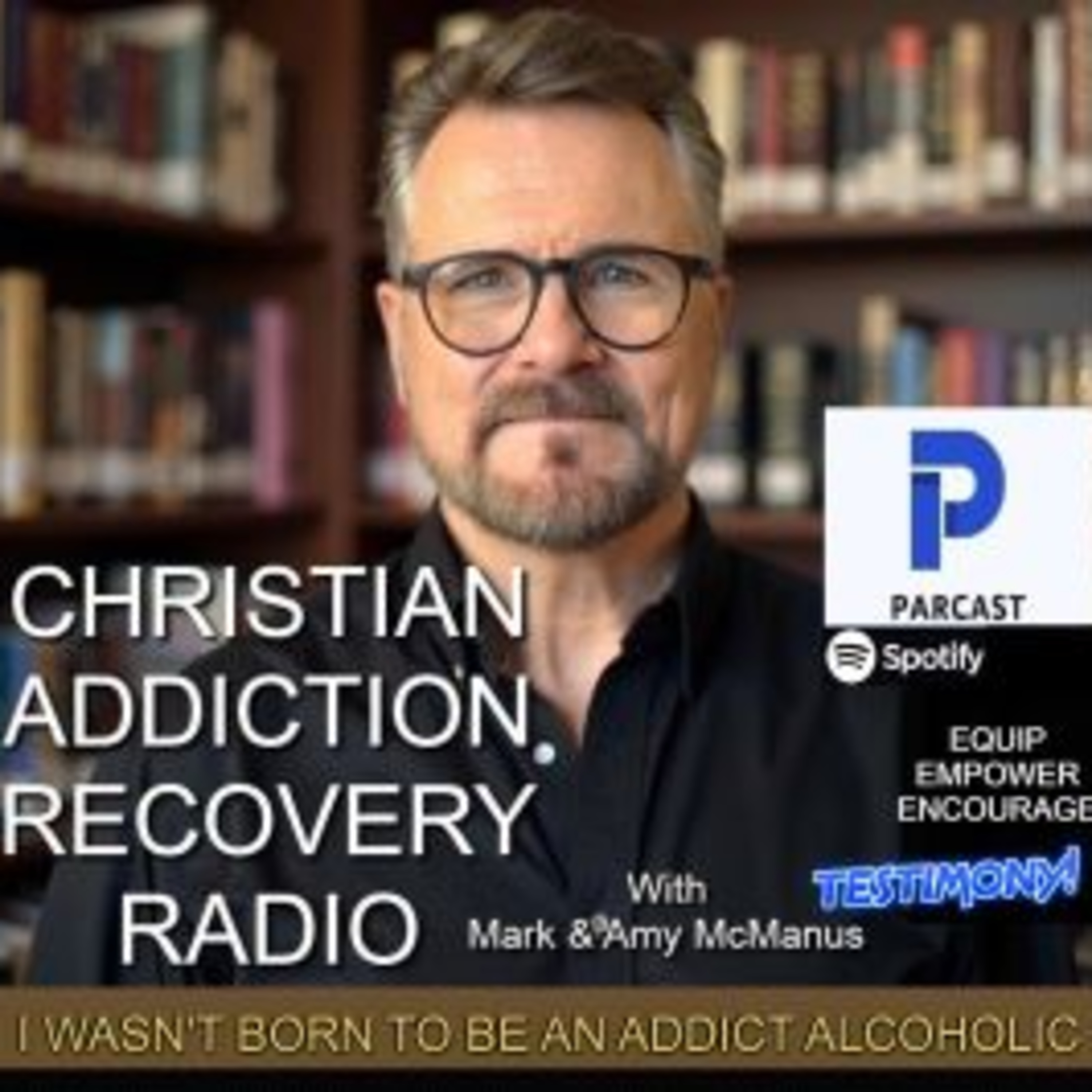 I WASN'T BORN TO BE AN ADDICT ALCOHOLIC episode artwork