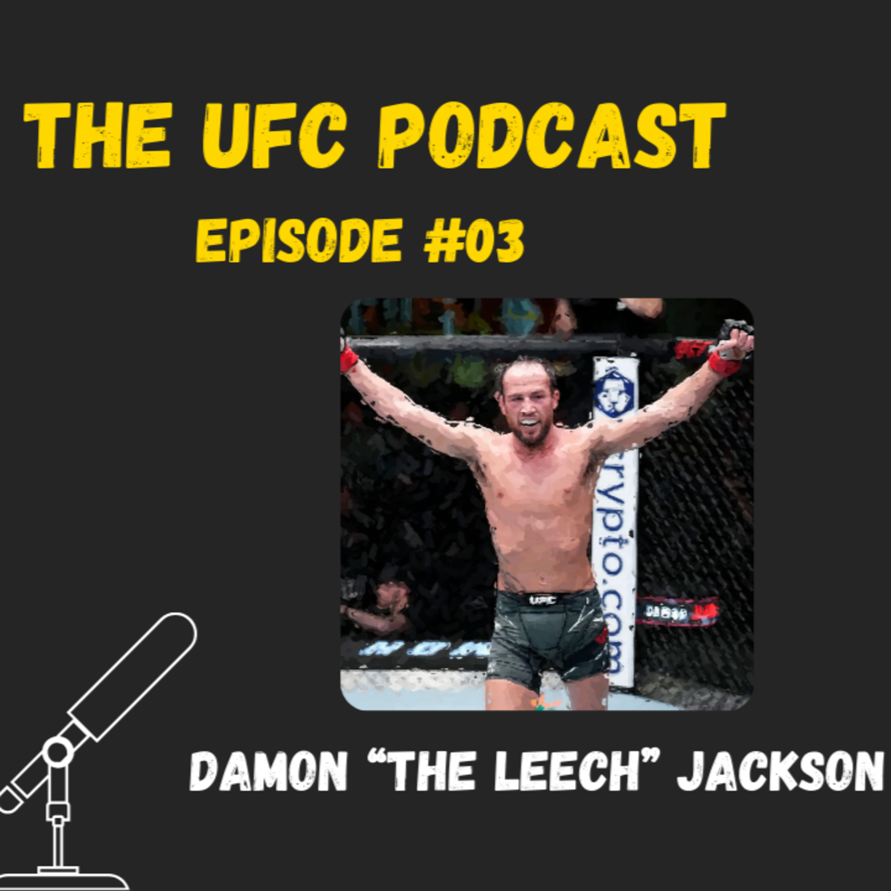 The UFC Podcast
