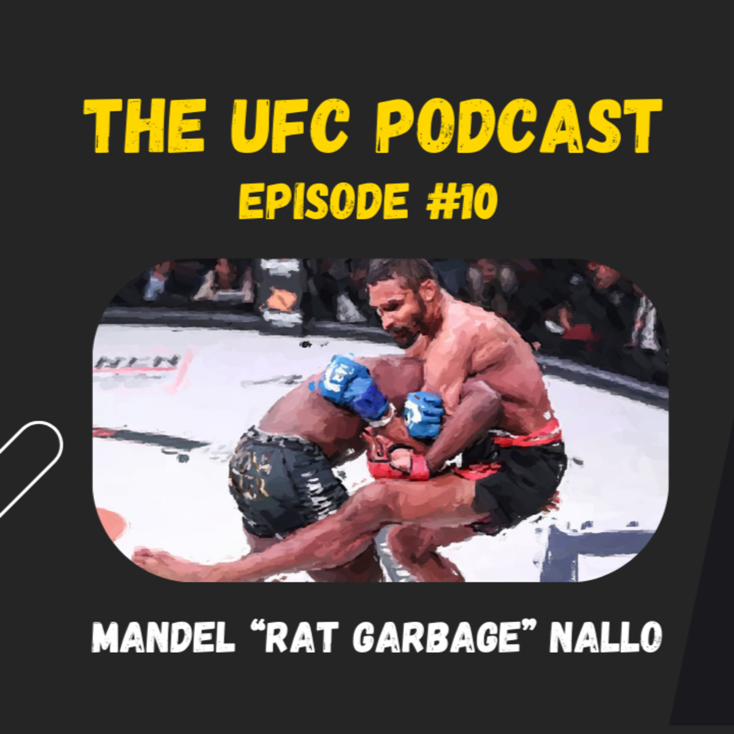 The UFC Podcast