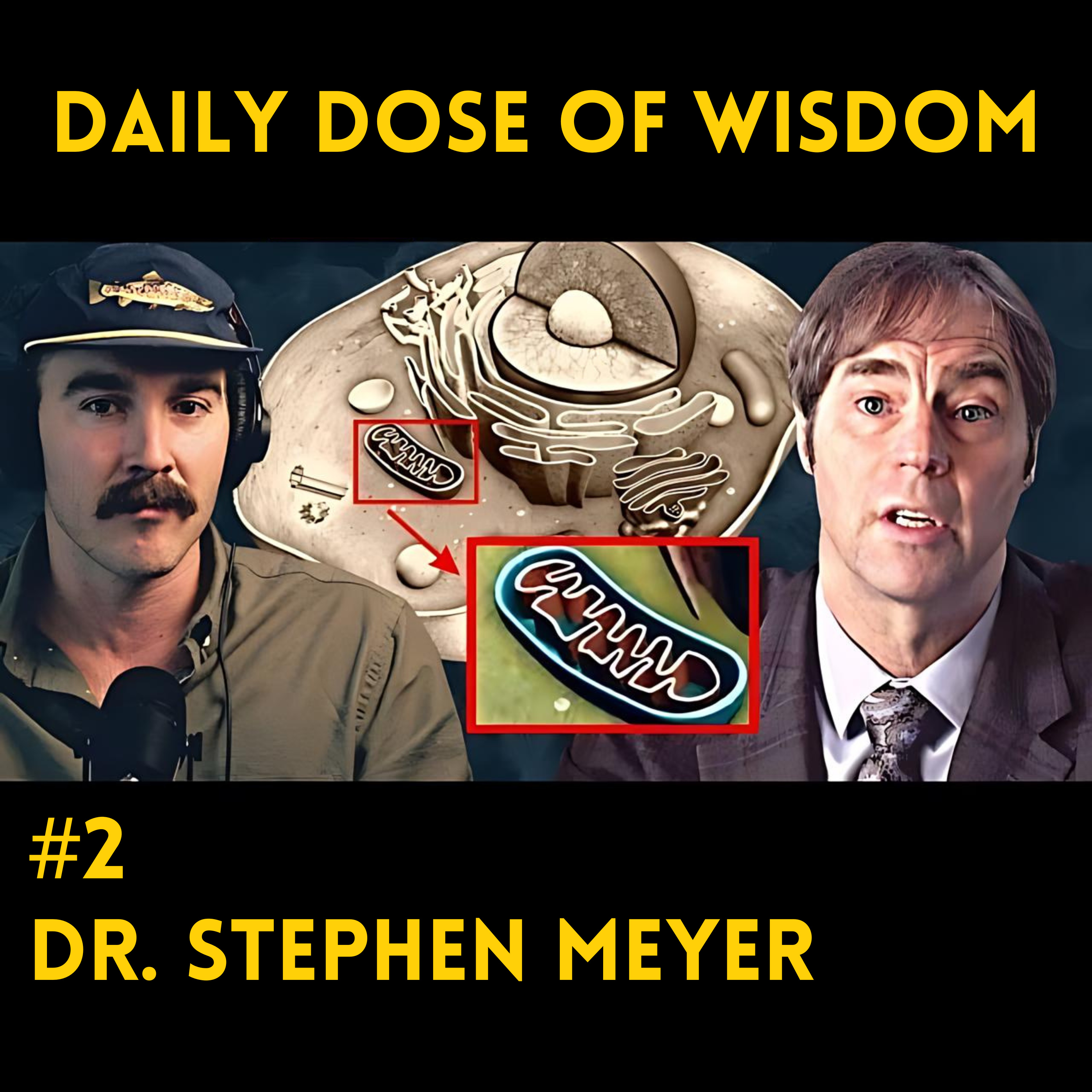 Daily Dose Of Wisdom