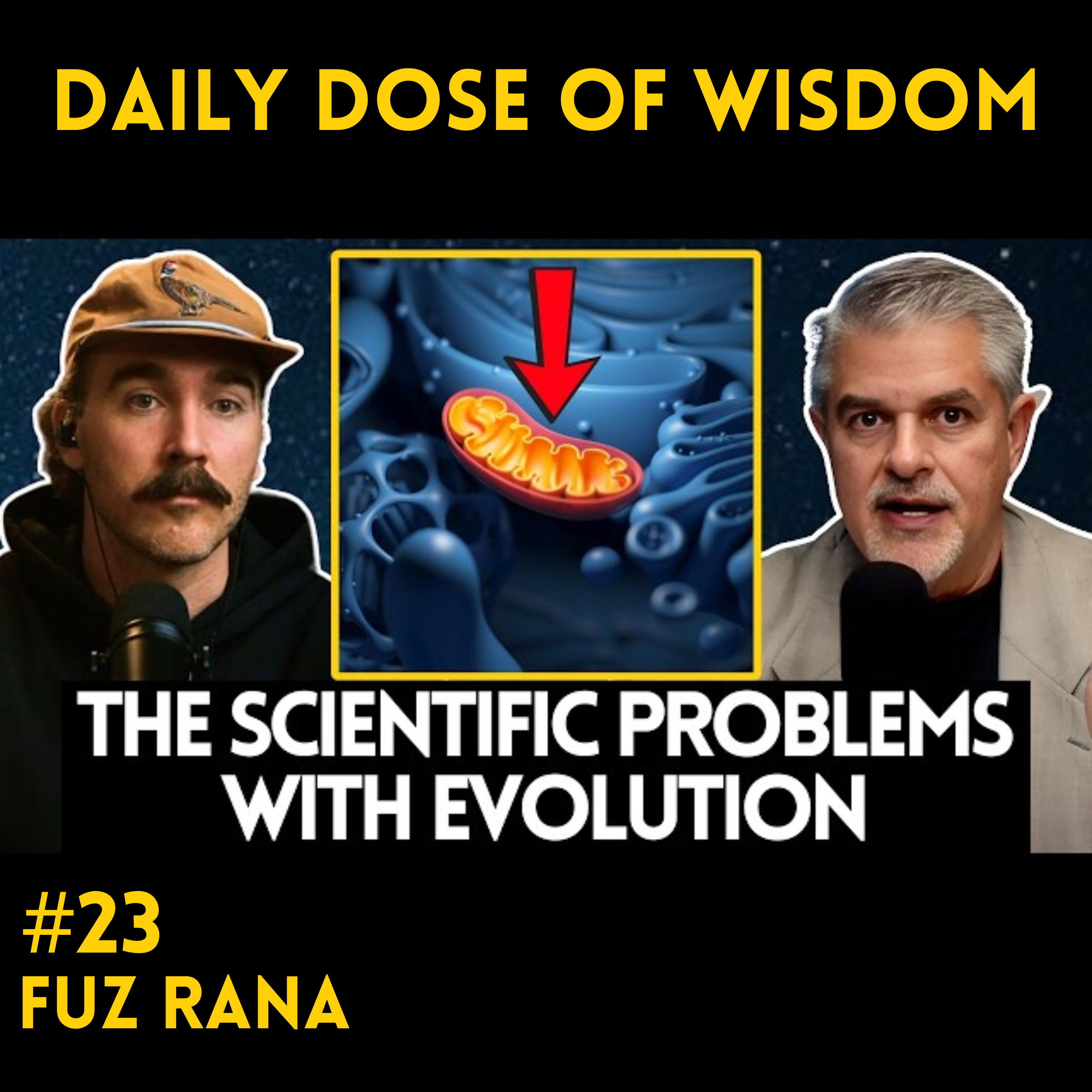Daily Dose Of Wisdom