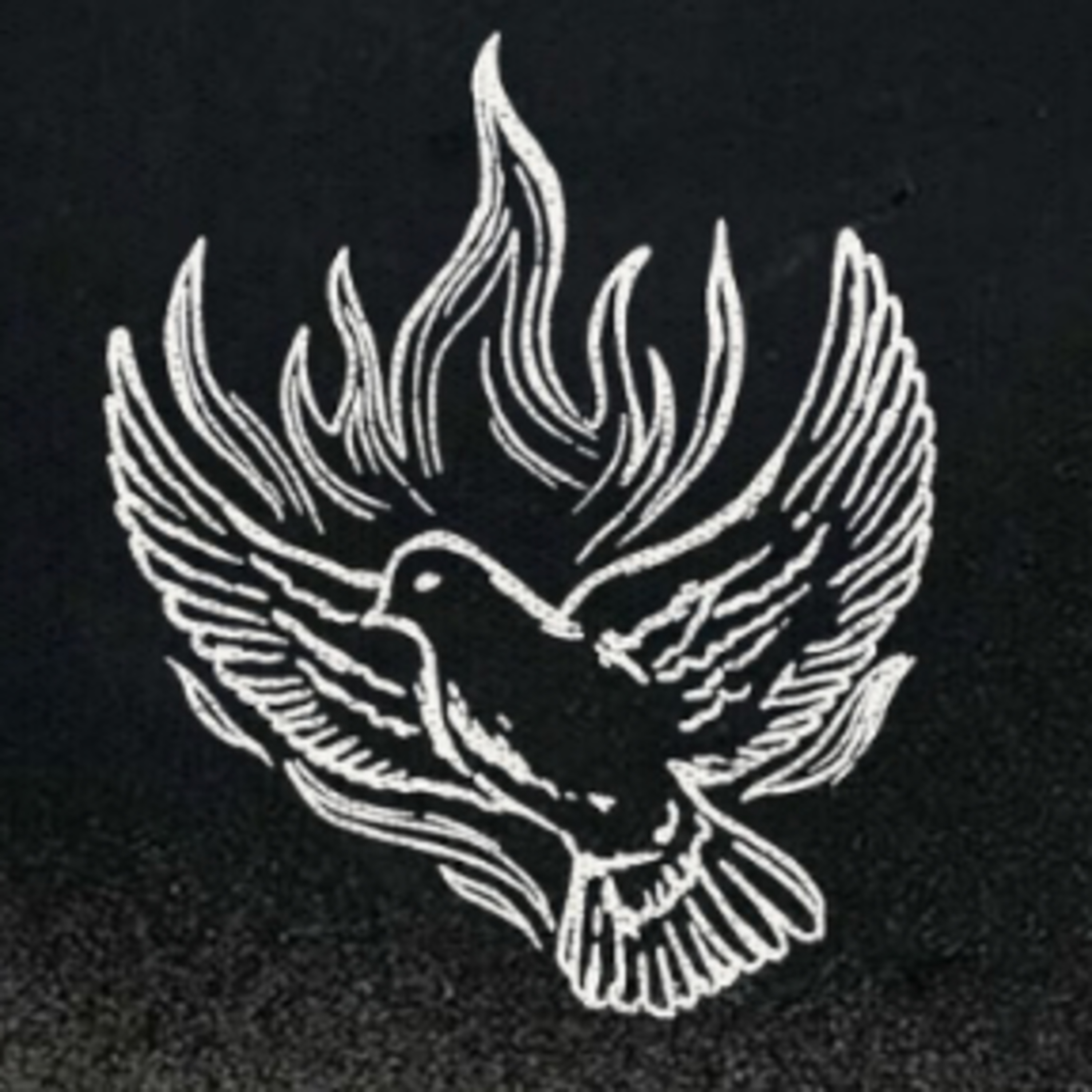 The Holy Spirit is an Optimist! episode artwork
