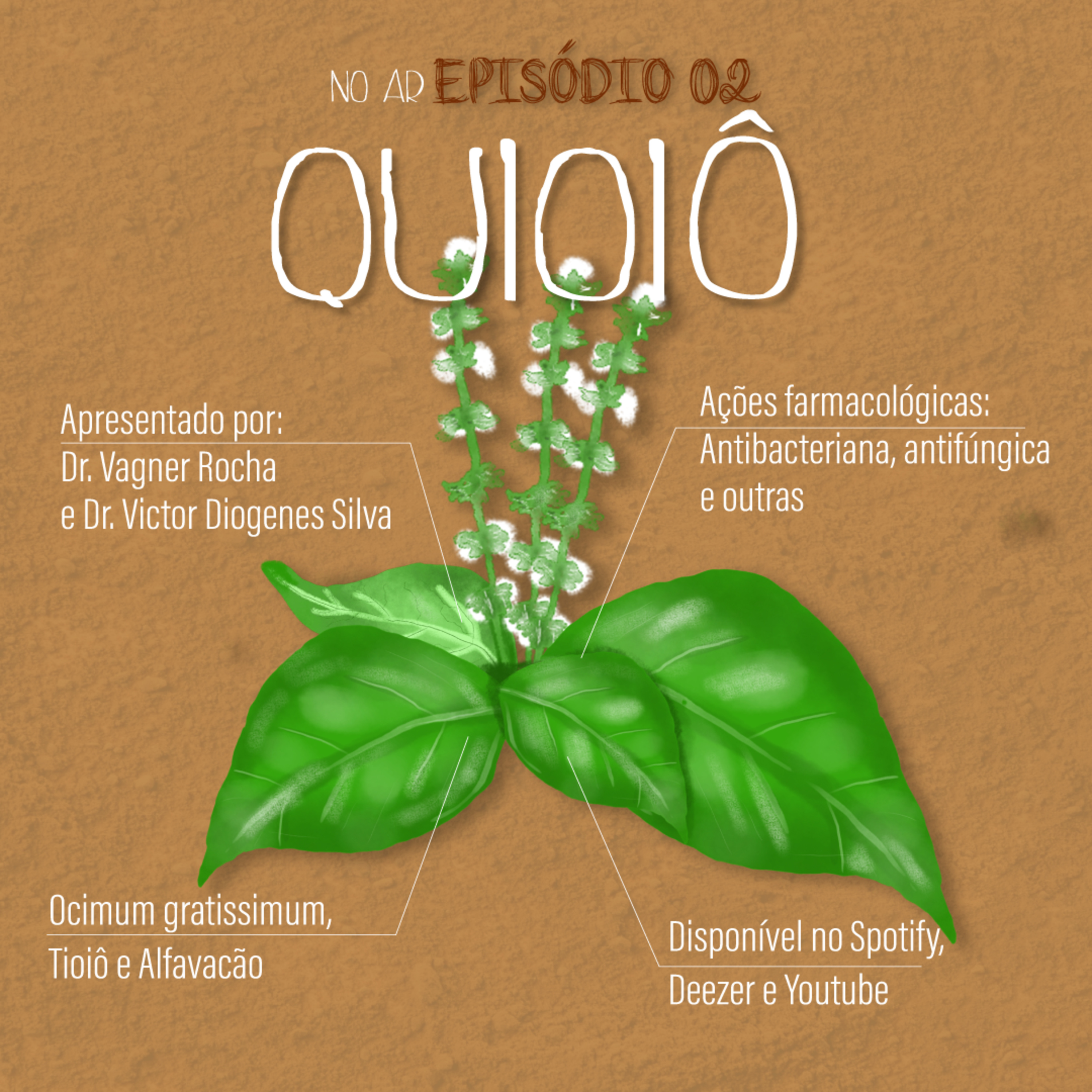 Axé das Plantas - Cura do Corpo e da Alma