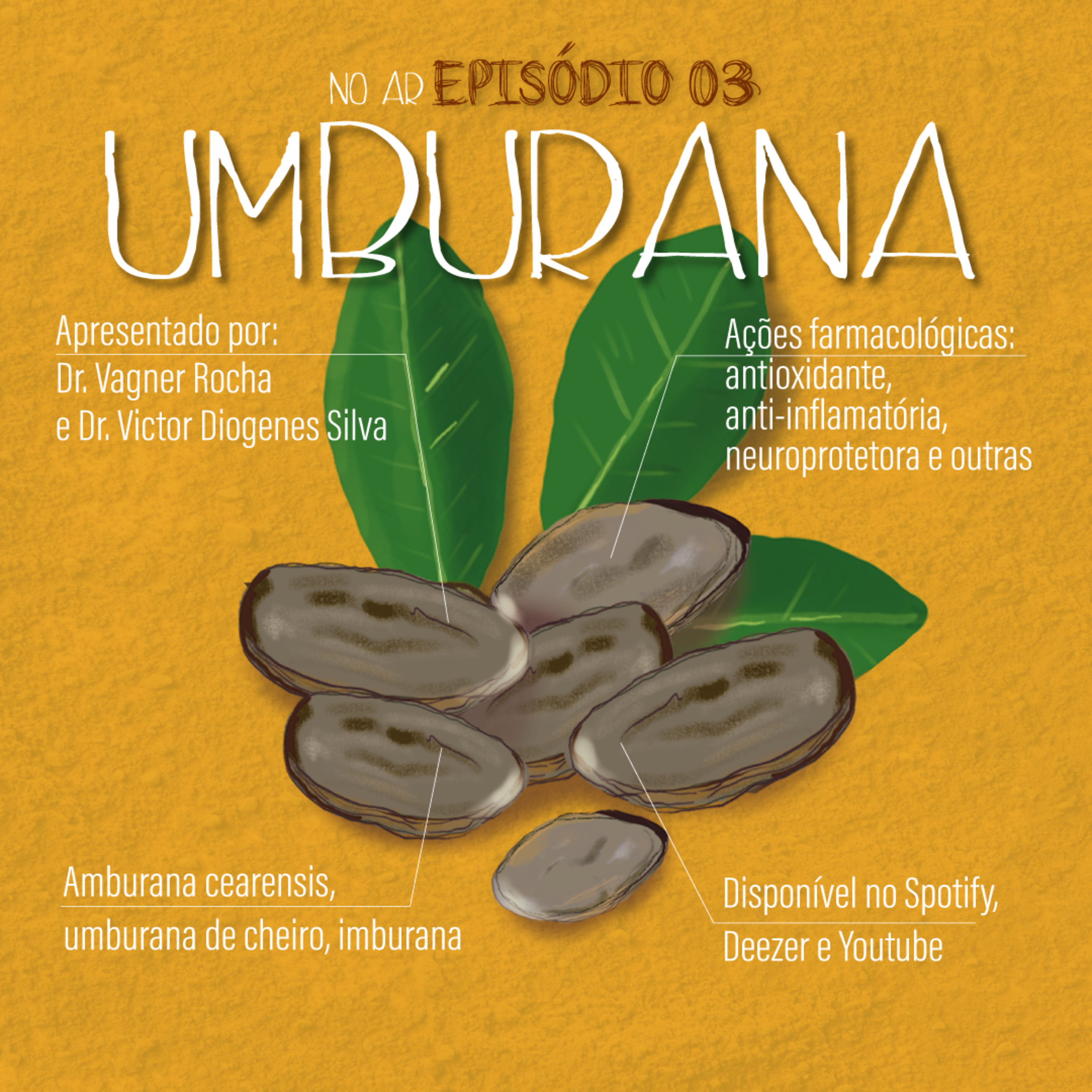 Axé das Plantas - Cura do Corpo e da Alma