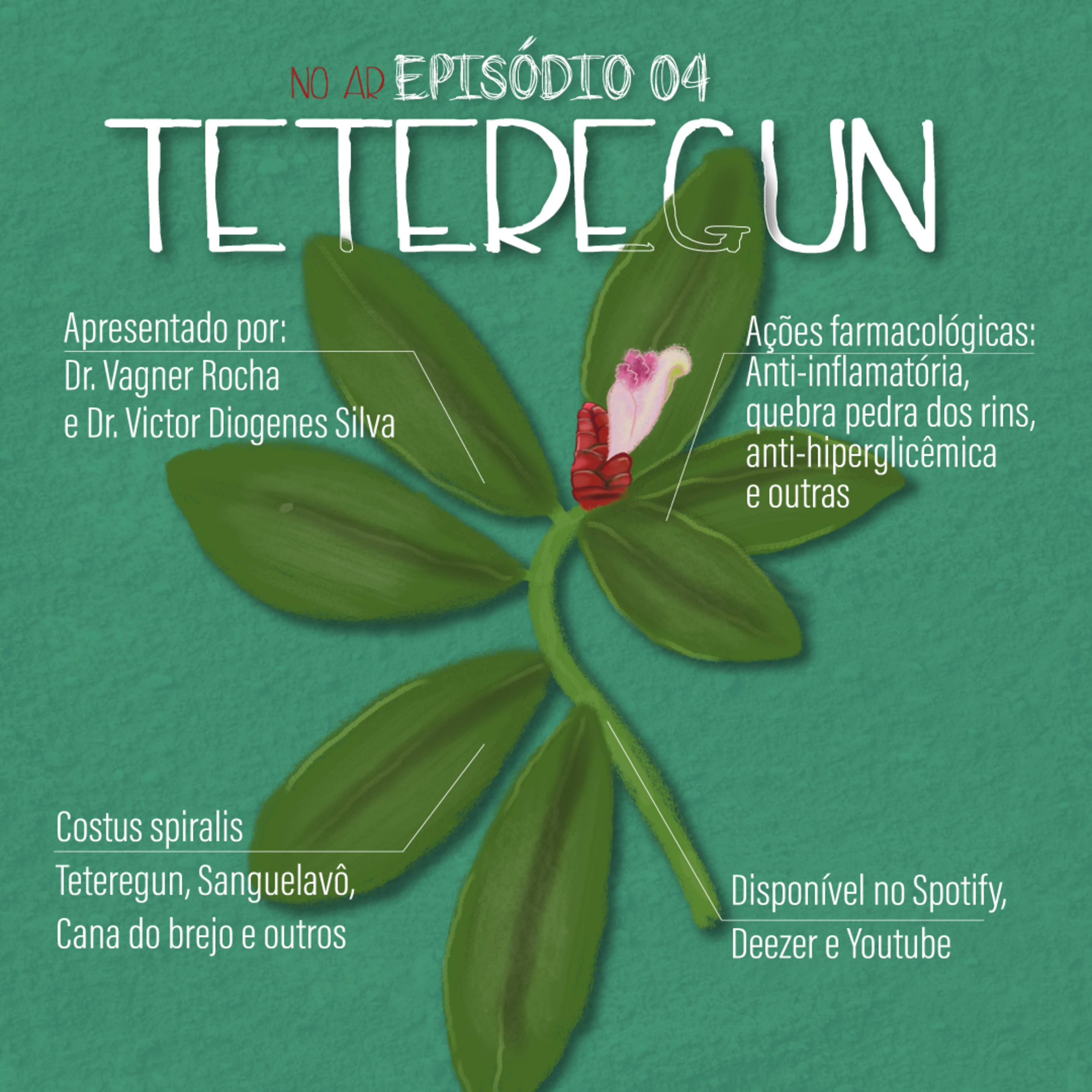 Axé das Plantas - Cura do Corpo e da Alma