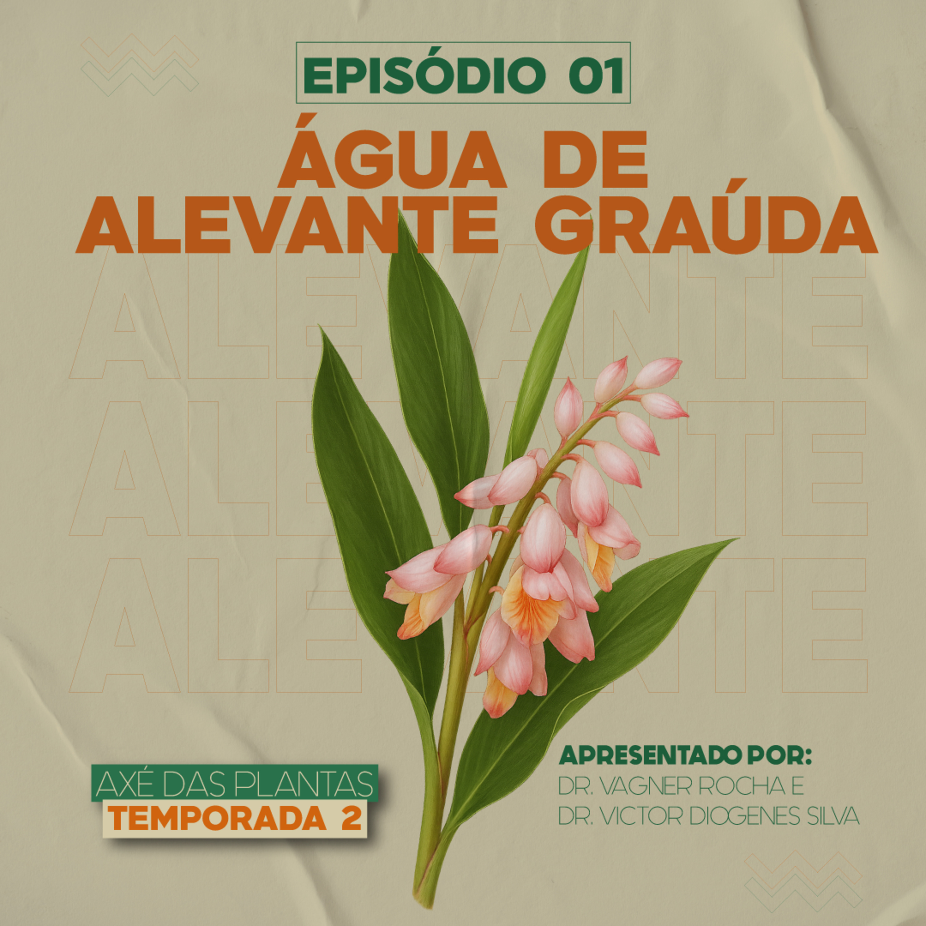 Axé das Plantas - Cura do Corpo e da Alma