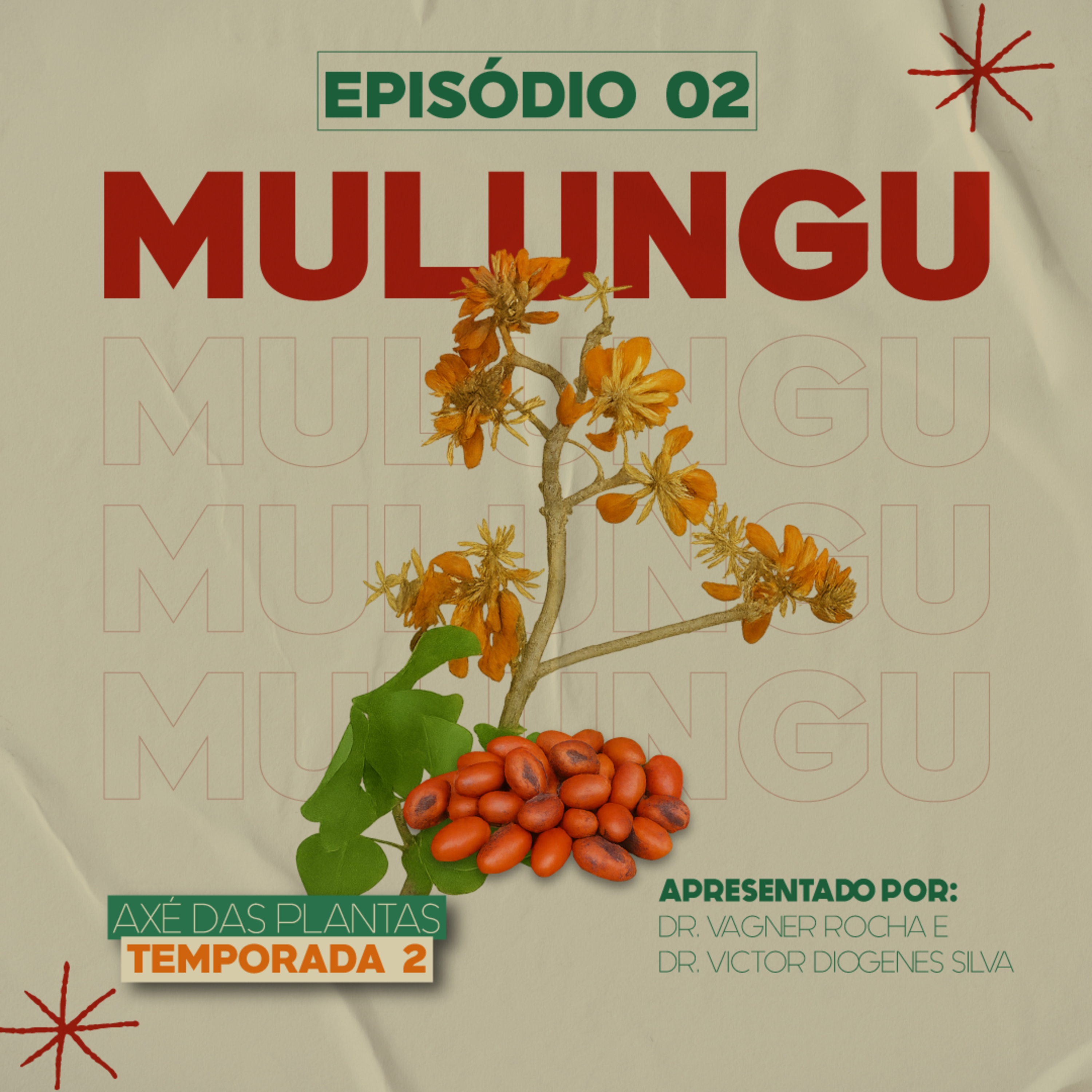 Axé das Plantas - Cura do Corpo e da Alma