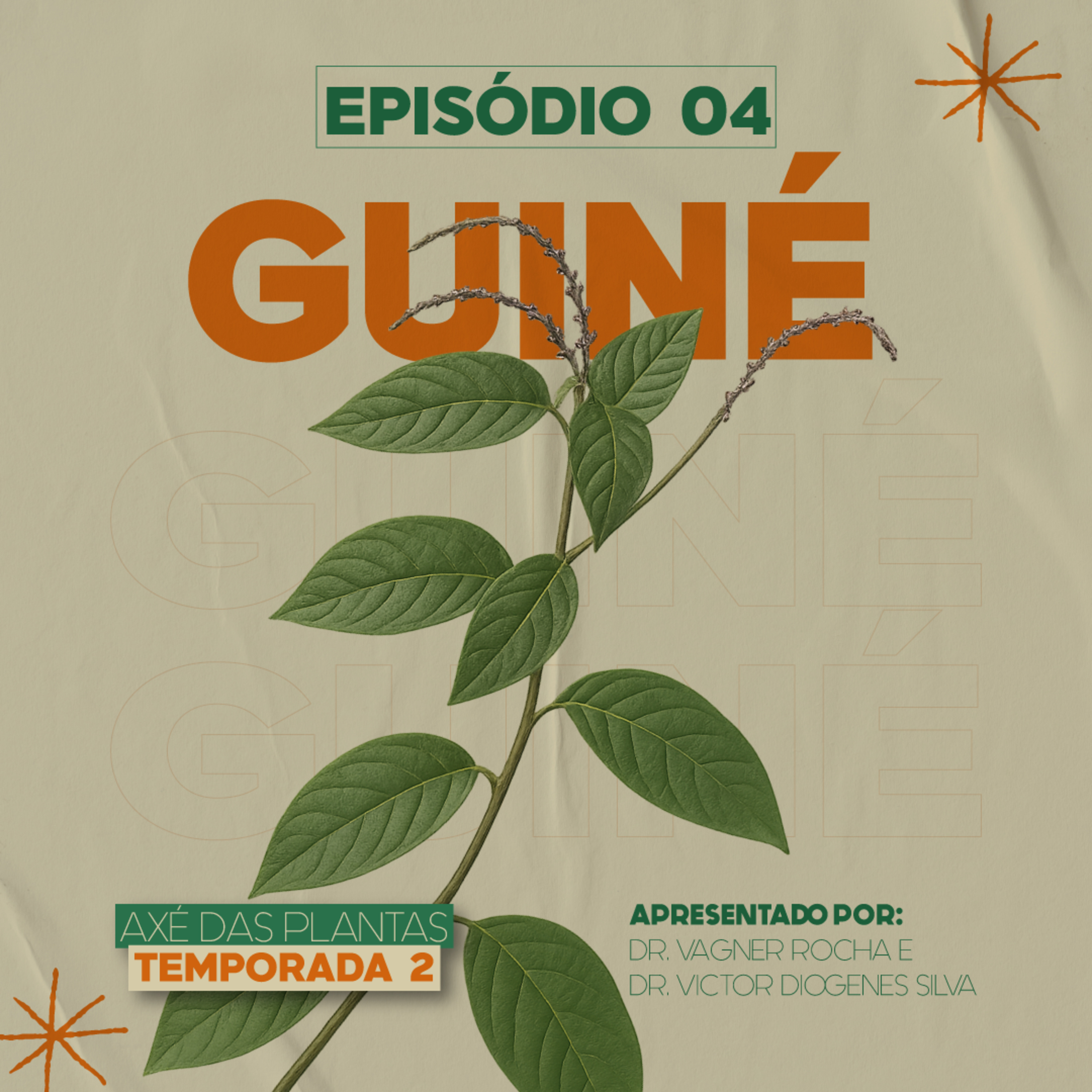 Axé das Plantas - Cura do Corpo e da Alma