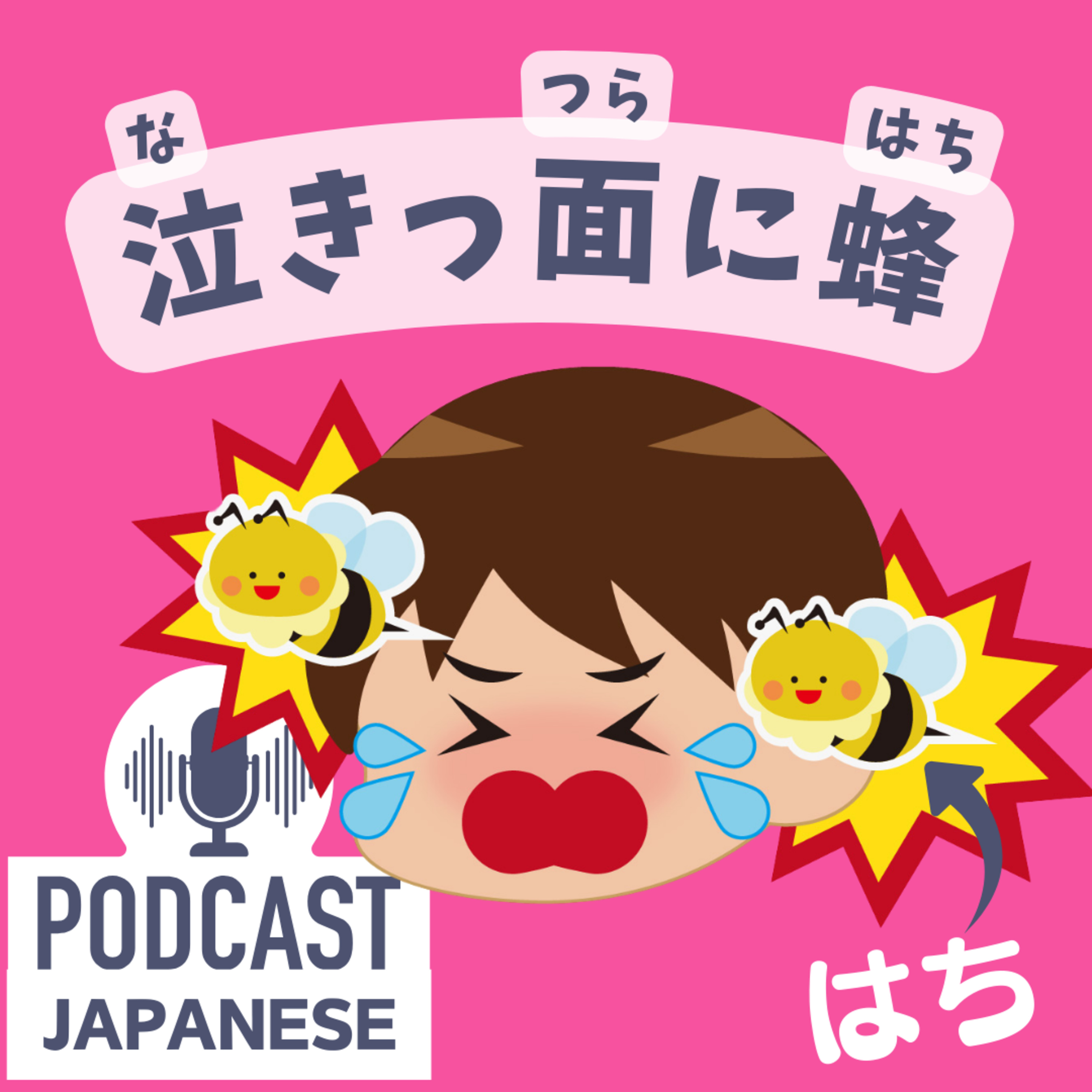 🌸331:「泣きっ面に蜂（なきっつらにはち）」って？悪いことが続くときの日本語表現〈日本語聴解 Japanese Podcast〉