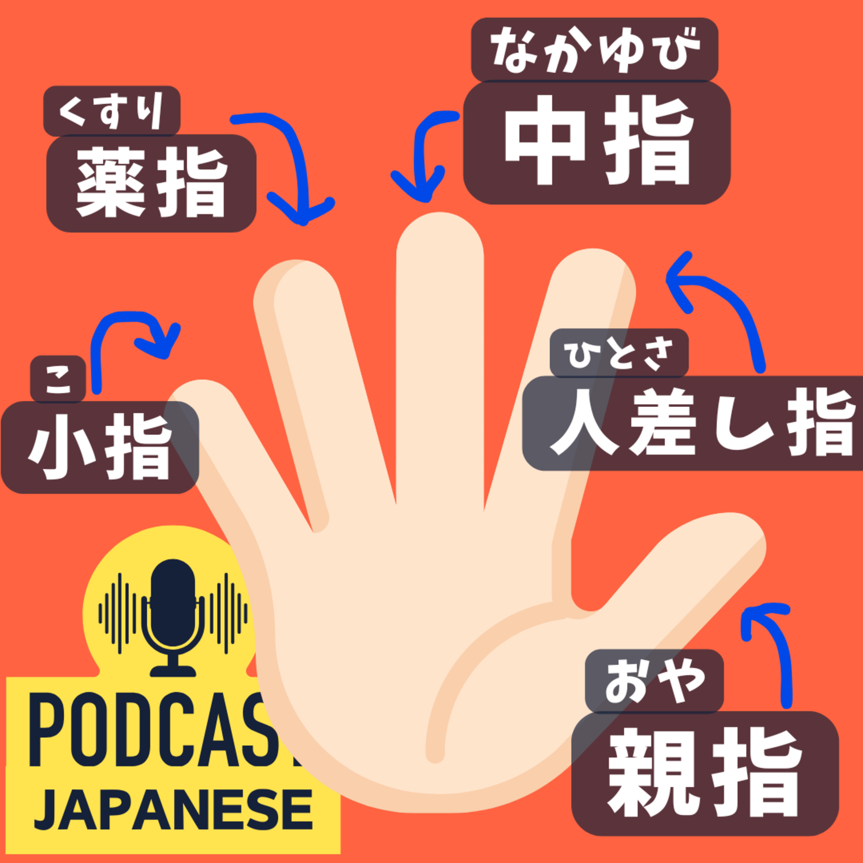 🌸358:指の名前を知ってますか？「親指」「人差し指」など〈日本語聴解 Japanese Podcast〉