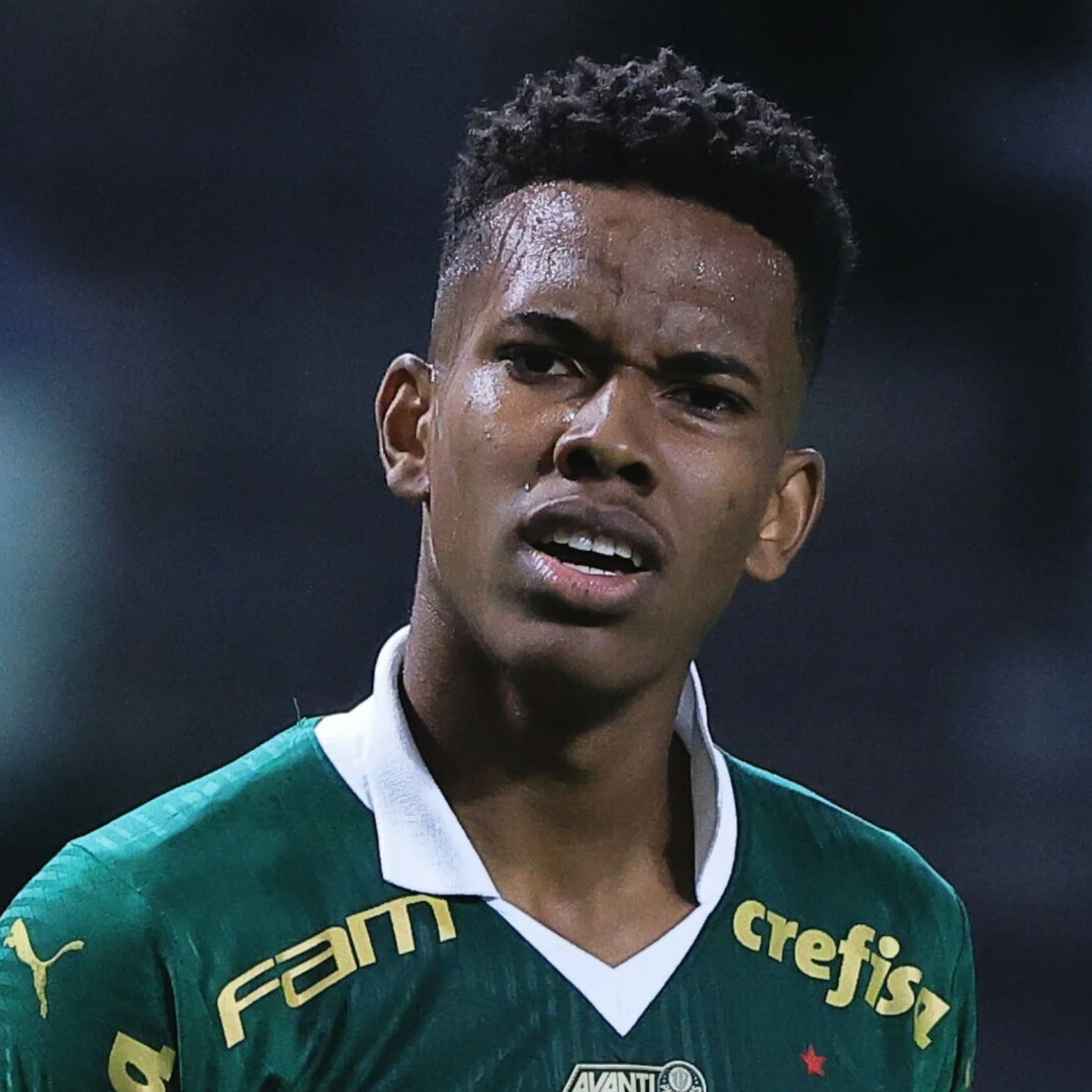 Palmeiras com desfalques importantes para enfrentar o Cruzeiro episode artwork